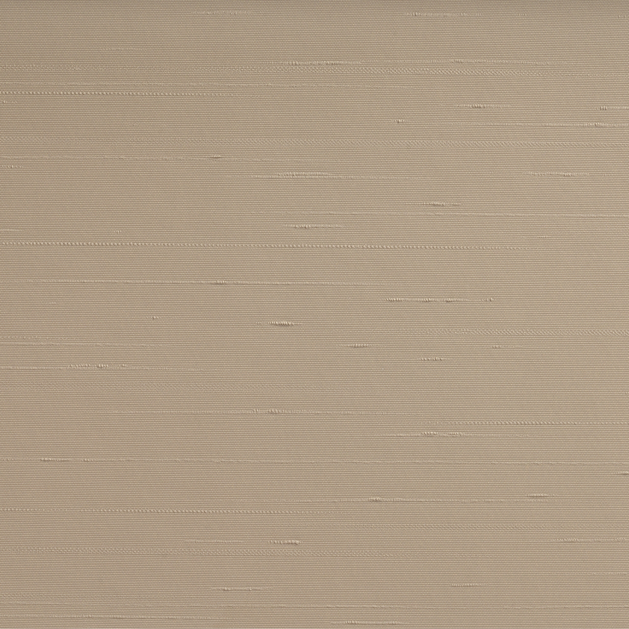 SHANTUNG CAMEL