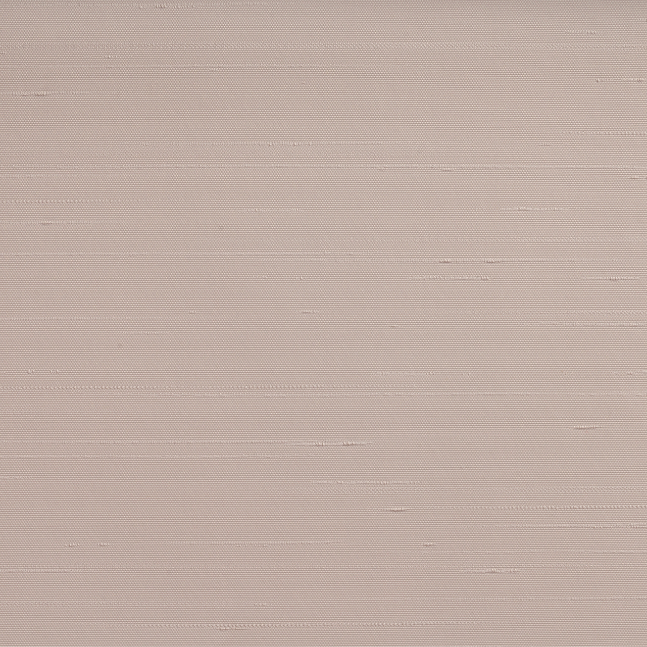 SHANTUNG BISCOTTO