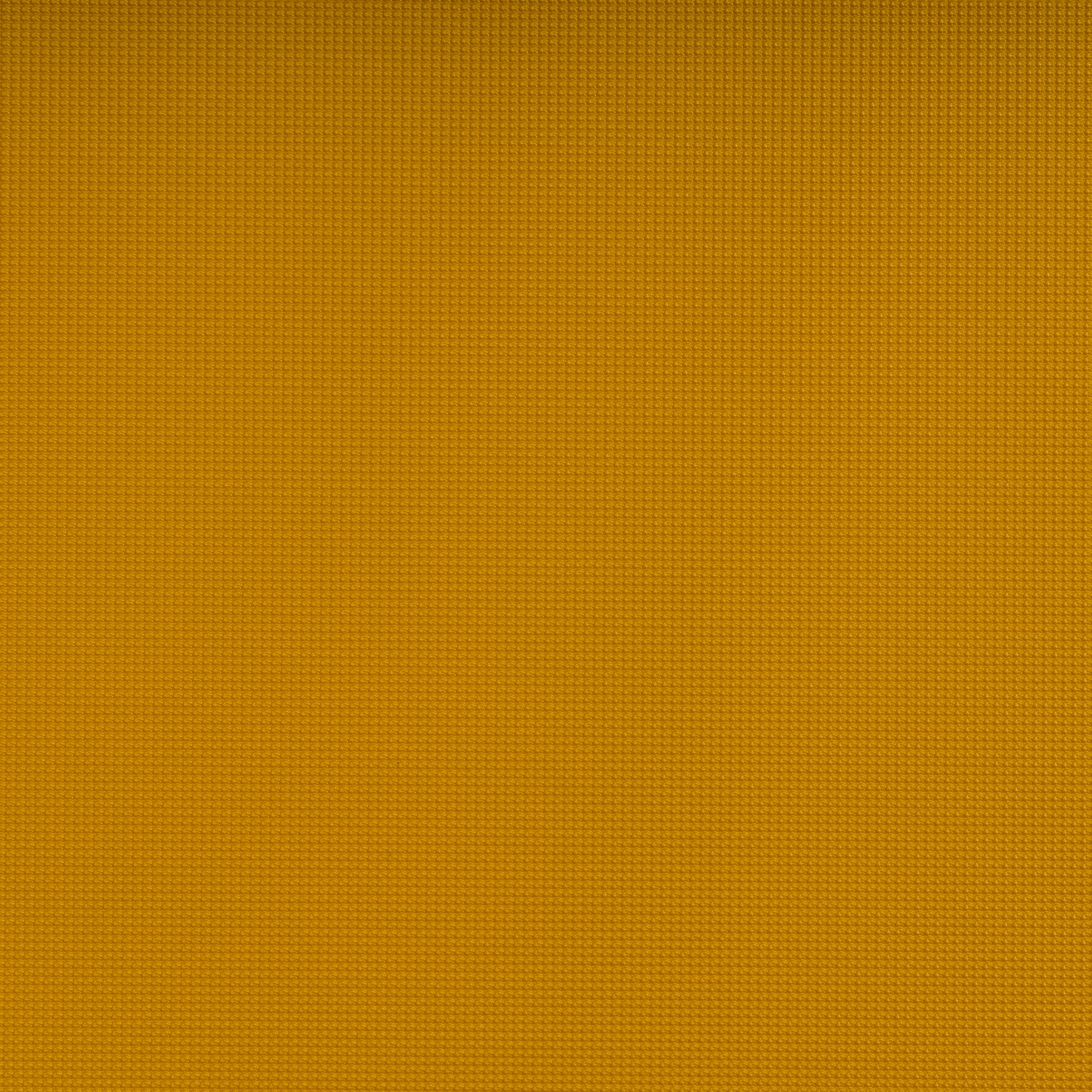 VOGUE™ MUSTARD