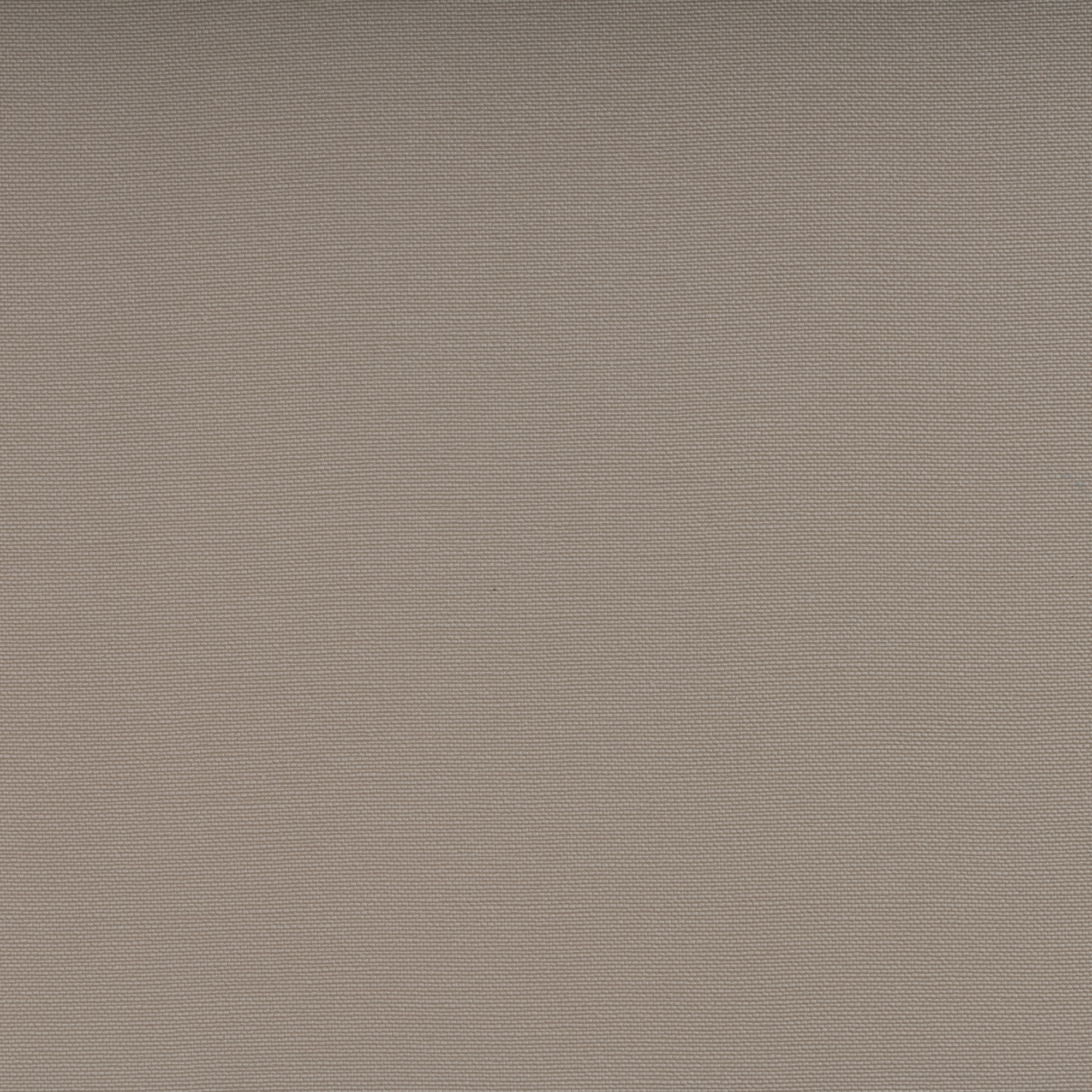 WALLTEX BI-ELASTIC MACADAMIA