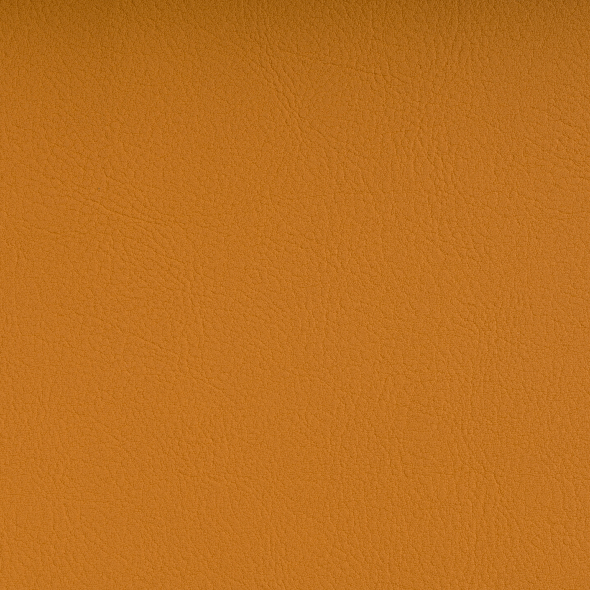 VALENCIA™ C5 MELONE