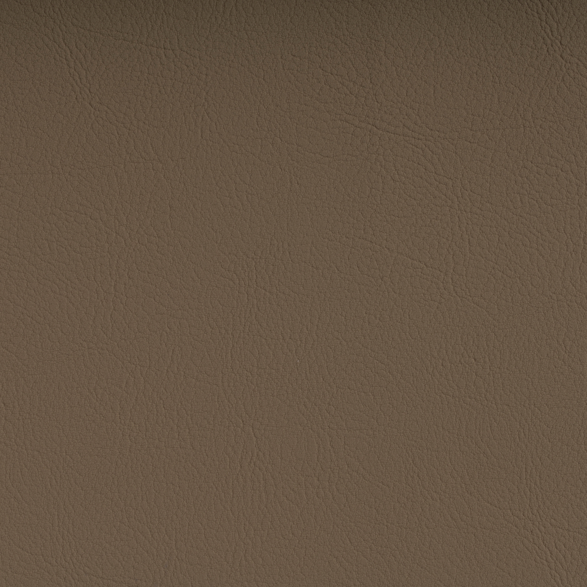 VALENCIA™ C5 TAUPE