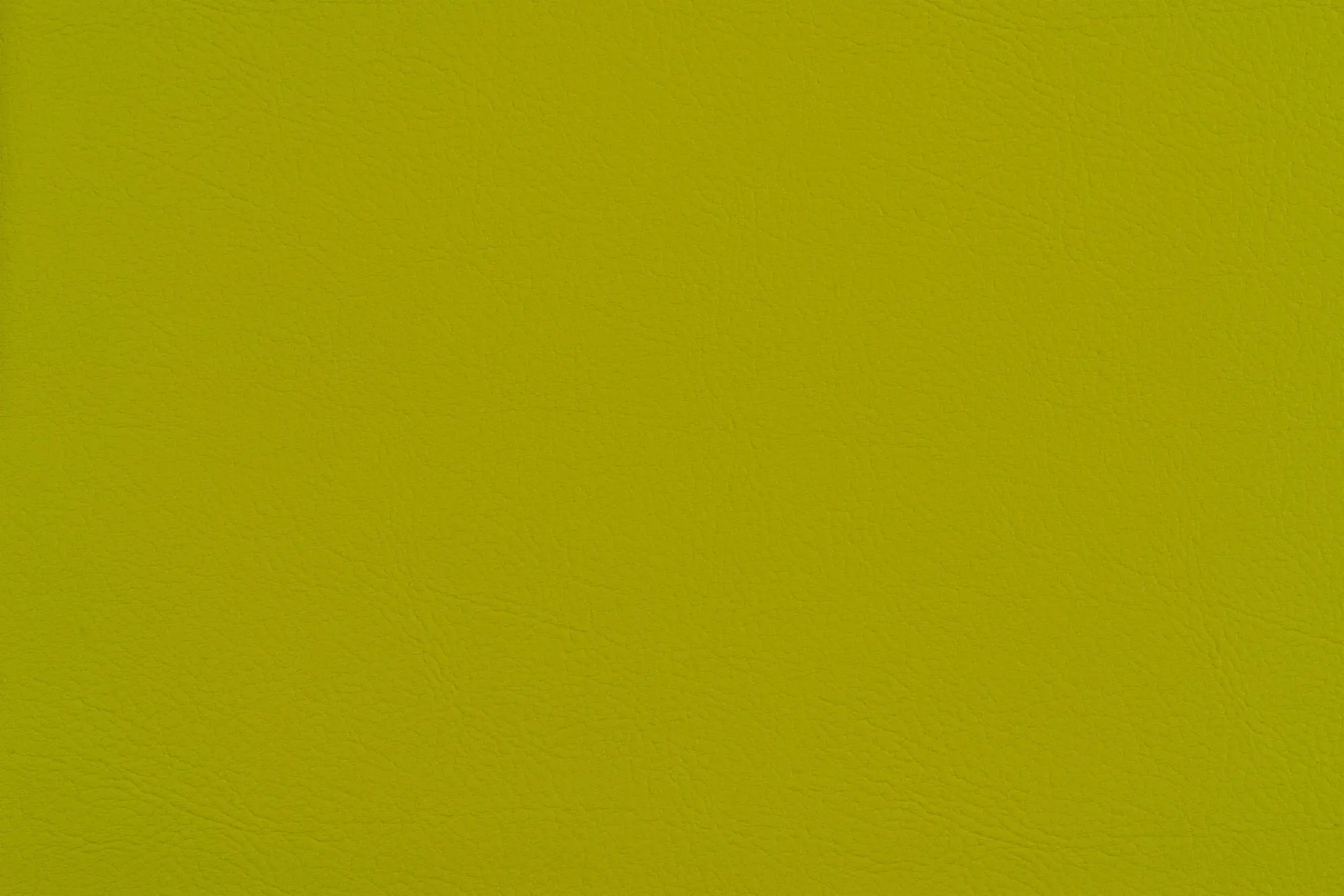 SPRADLING - VALENCIA™ AVOCADO