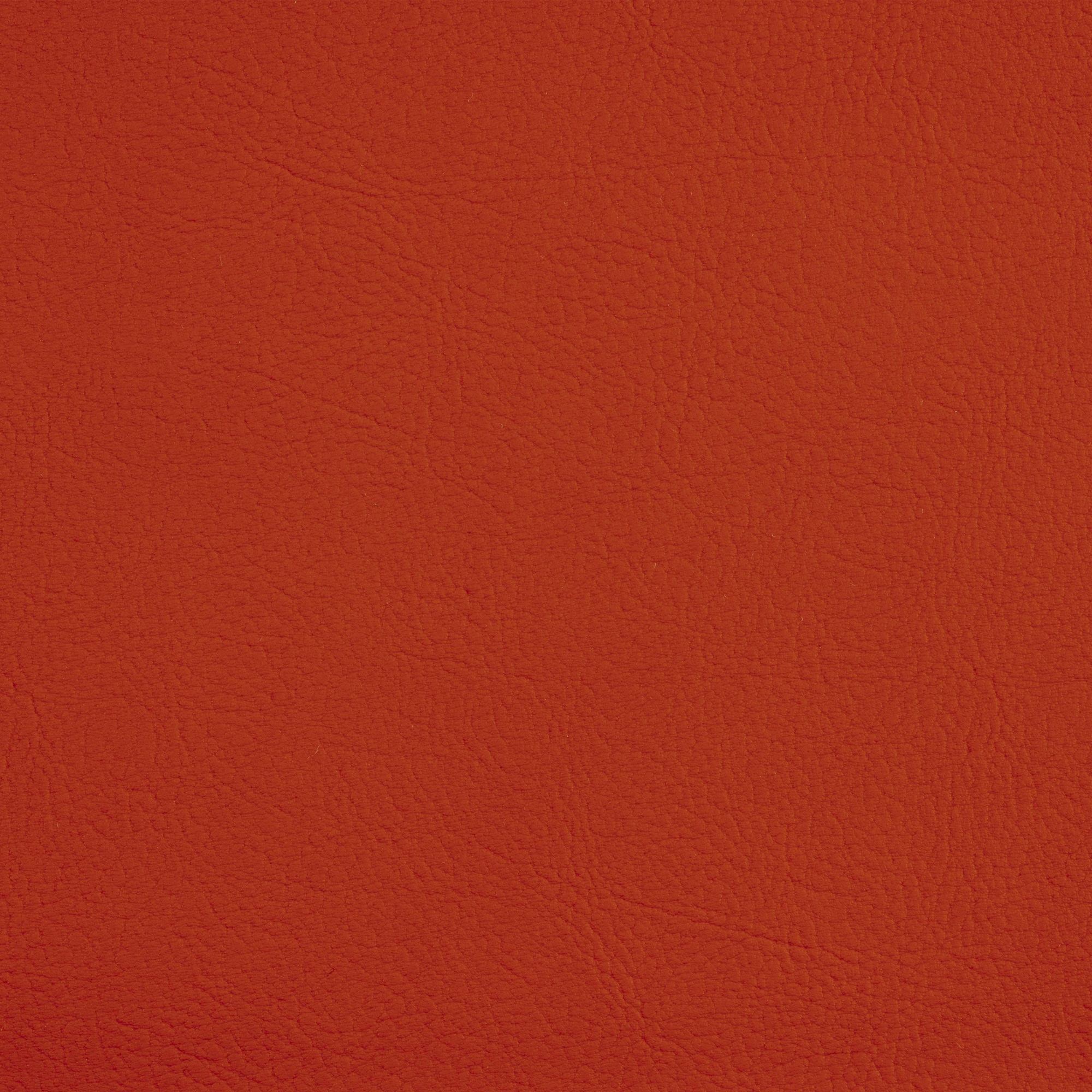 VALENCIA™ TOMATO