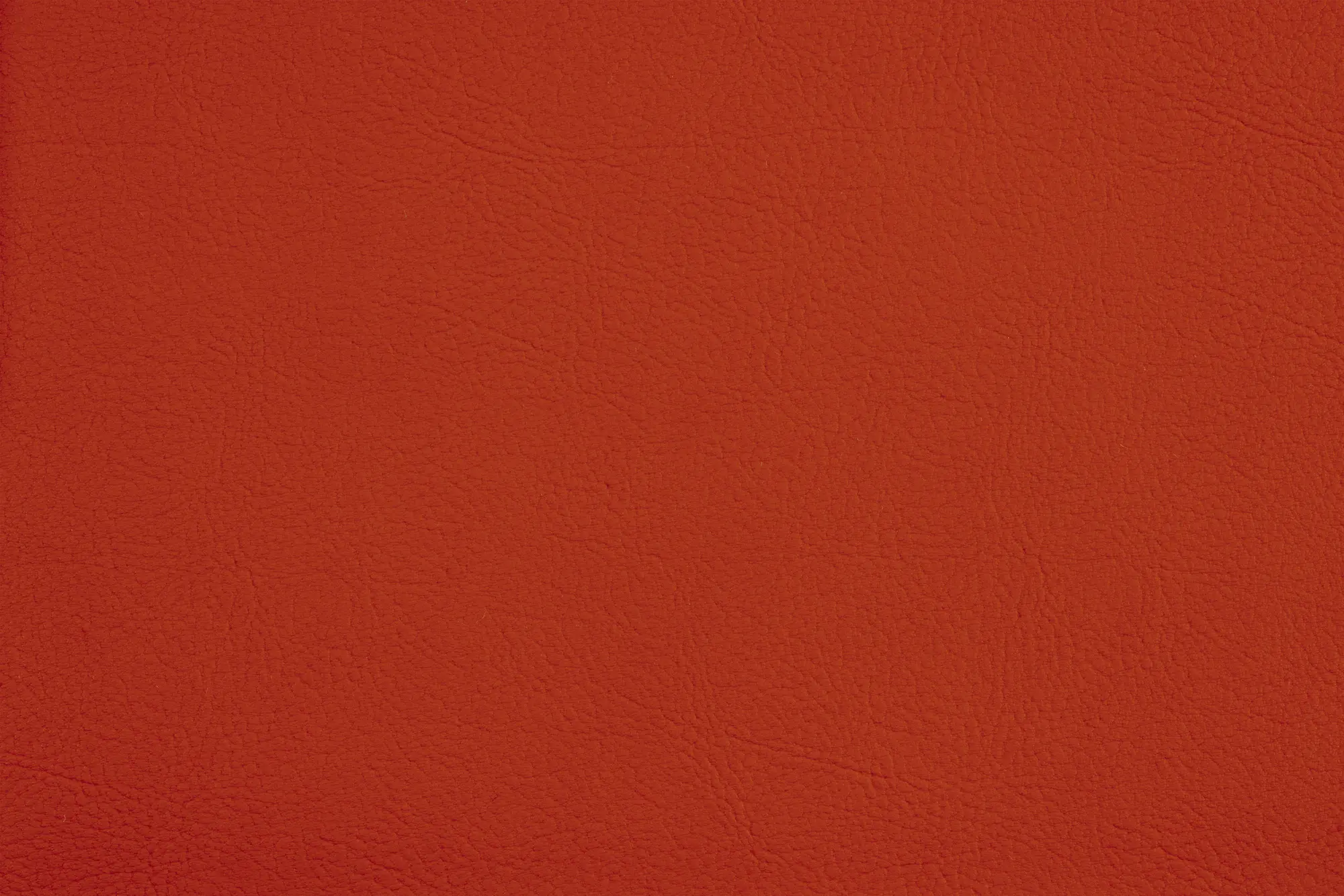 SPRADLING - VALENCIA™ TOMATO