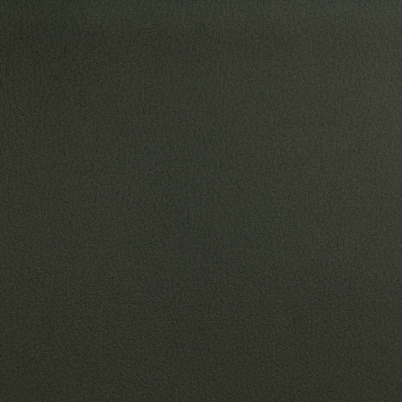 Mostrar el producto DOLCE POLYURETHANE C5 MOSS del fabricante SPRADLING