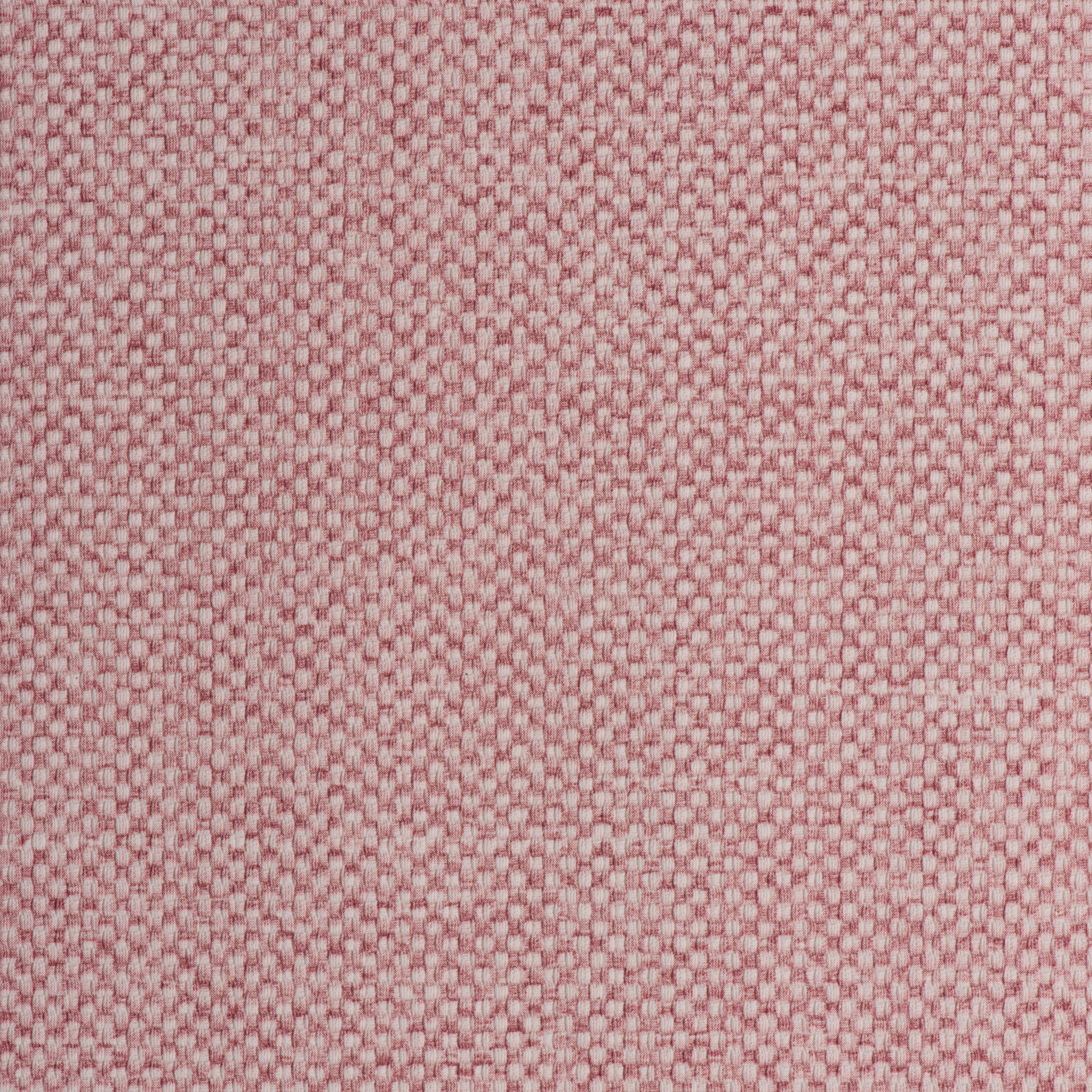 MAGLIA BLOSSOM