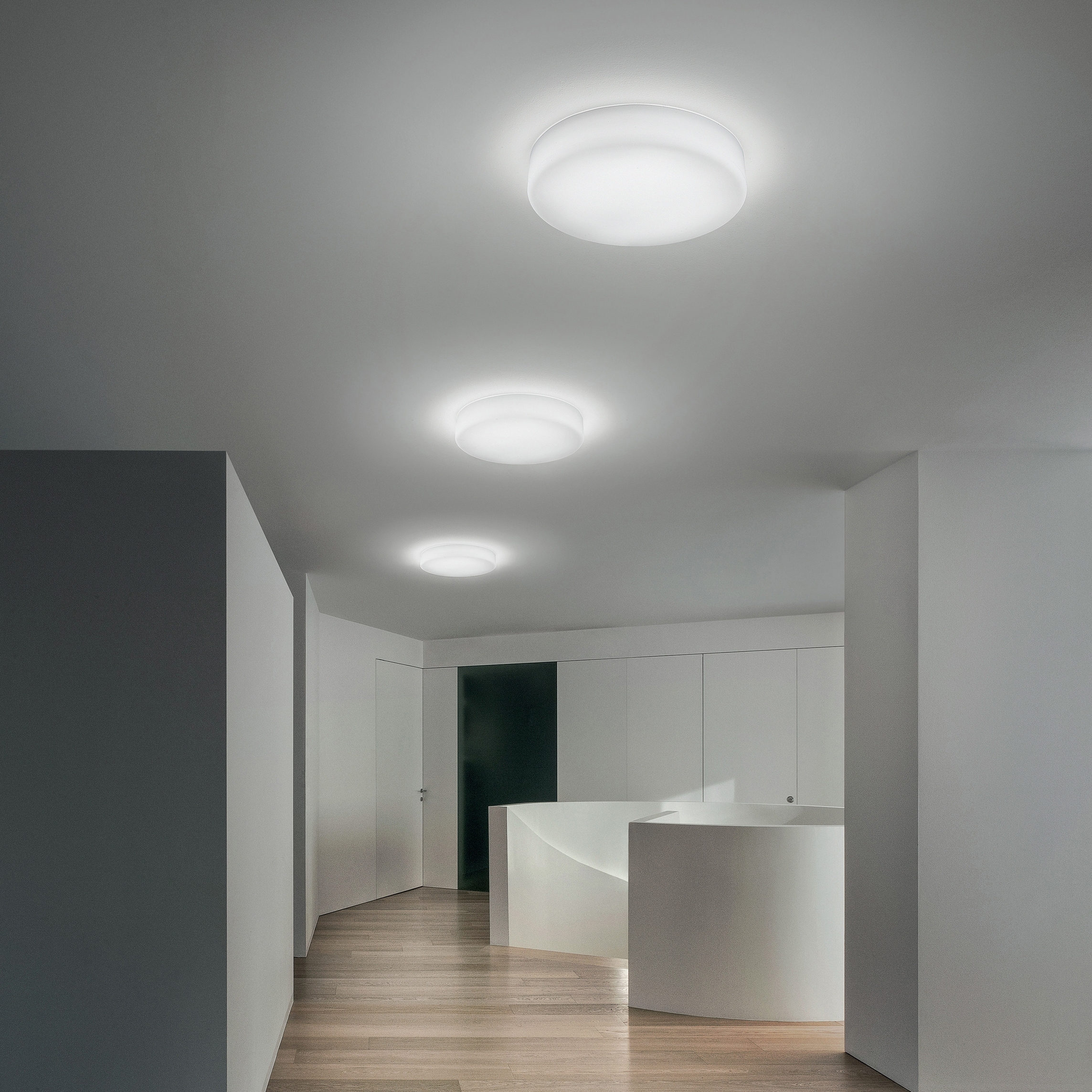 Ceiling Light | Professional