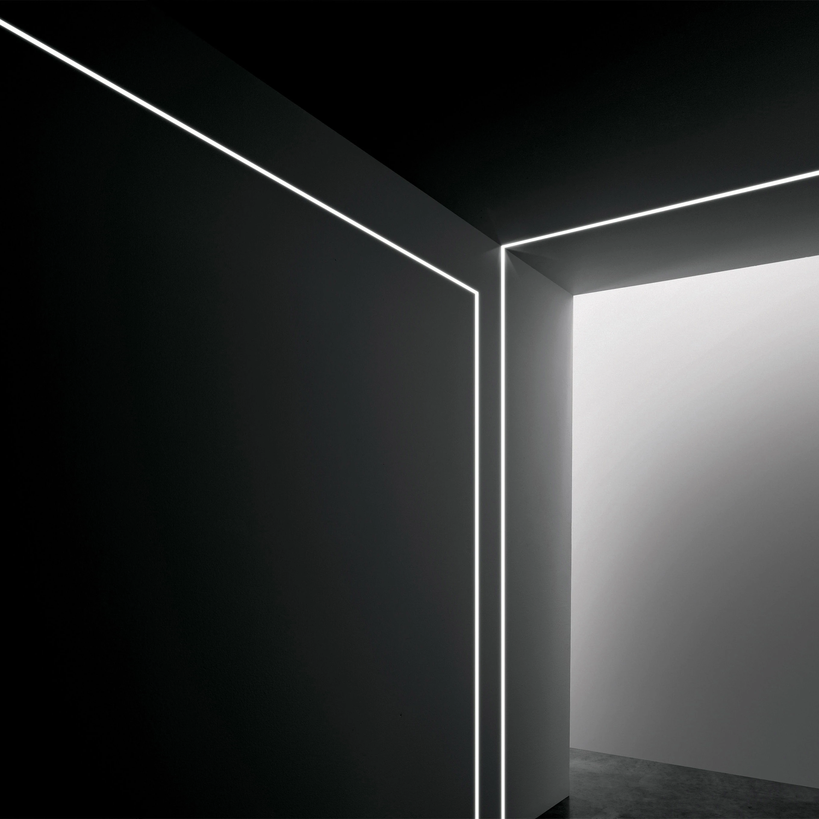 Elementos lineales | Professional