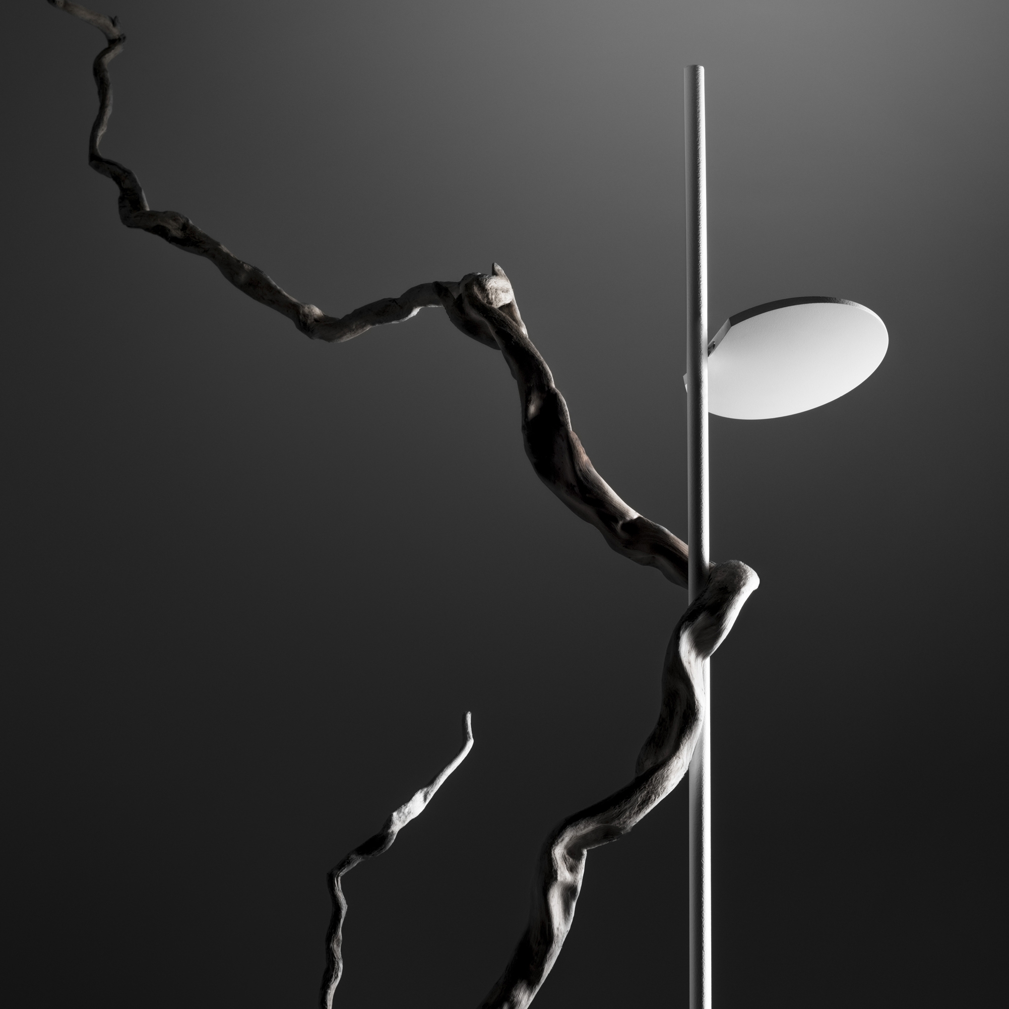 Floor Lamp | Home