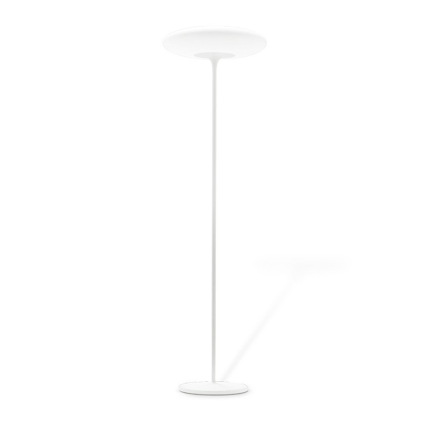 Mostrar el producto Squash_FL del fabricante Linea Light Group