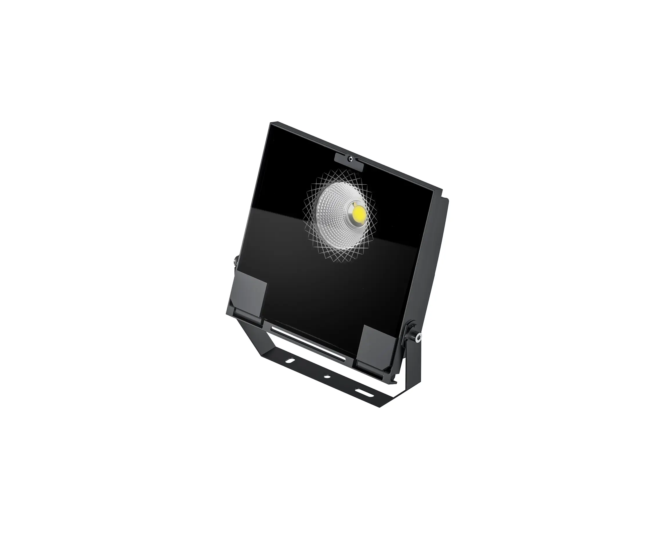 Linea Light Group - Prolamp 80 W