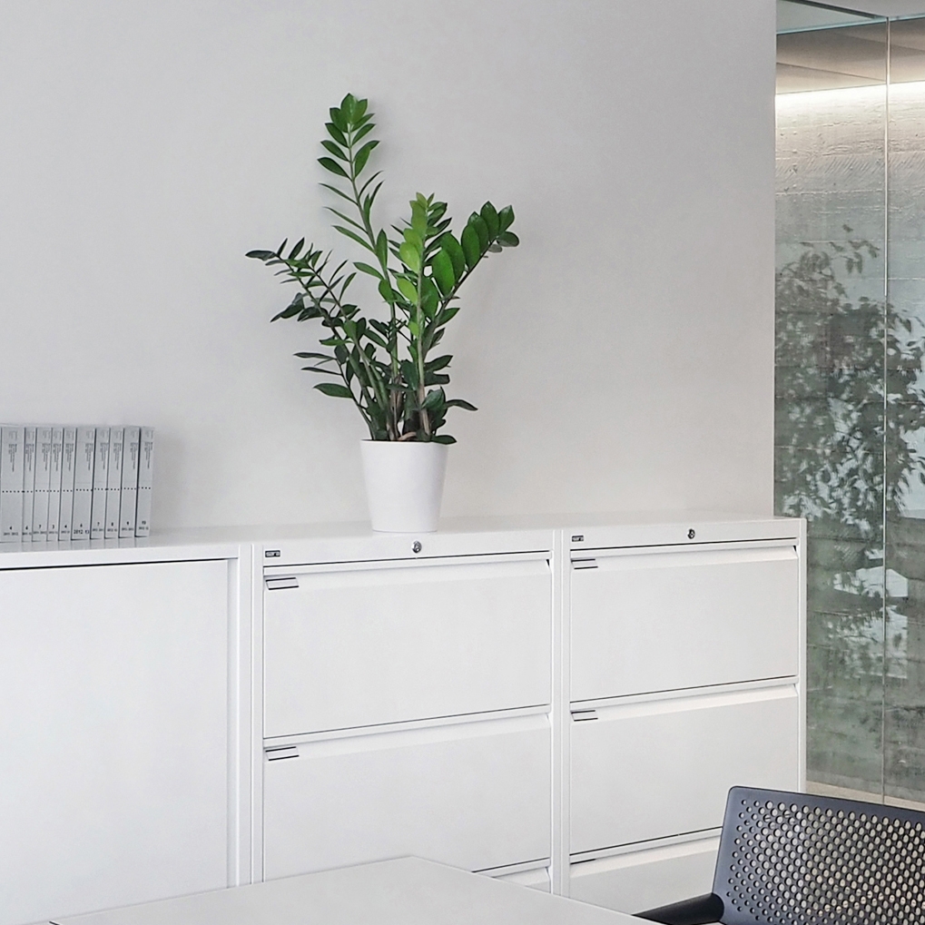 Mostrar el producto Filing cabinet del fabricante SARA