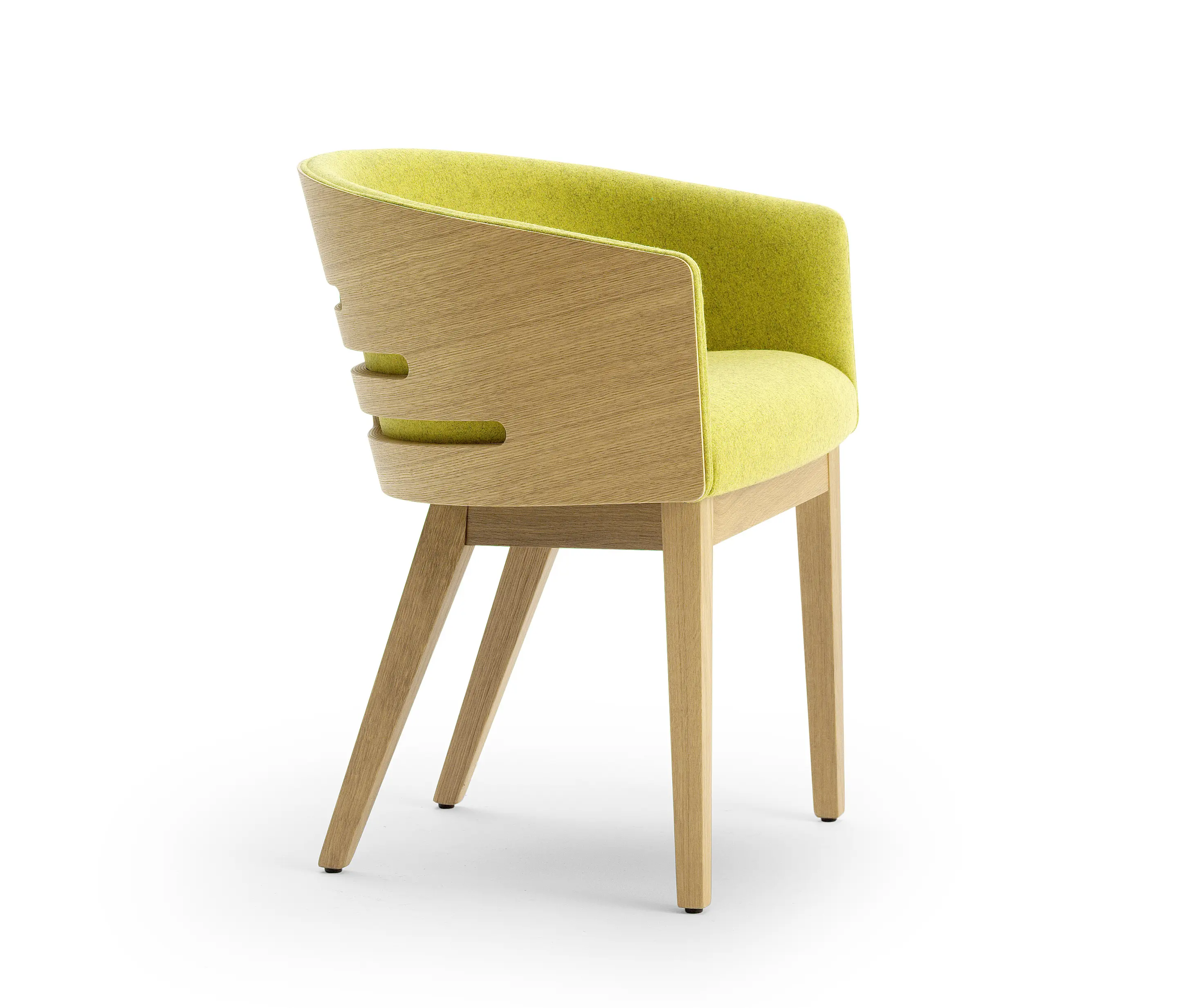 Accento - ALBERT TREE | SBL