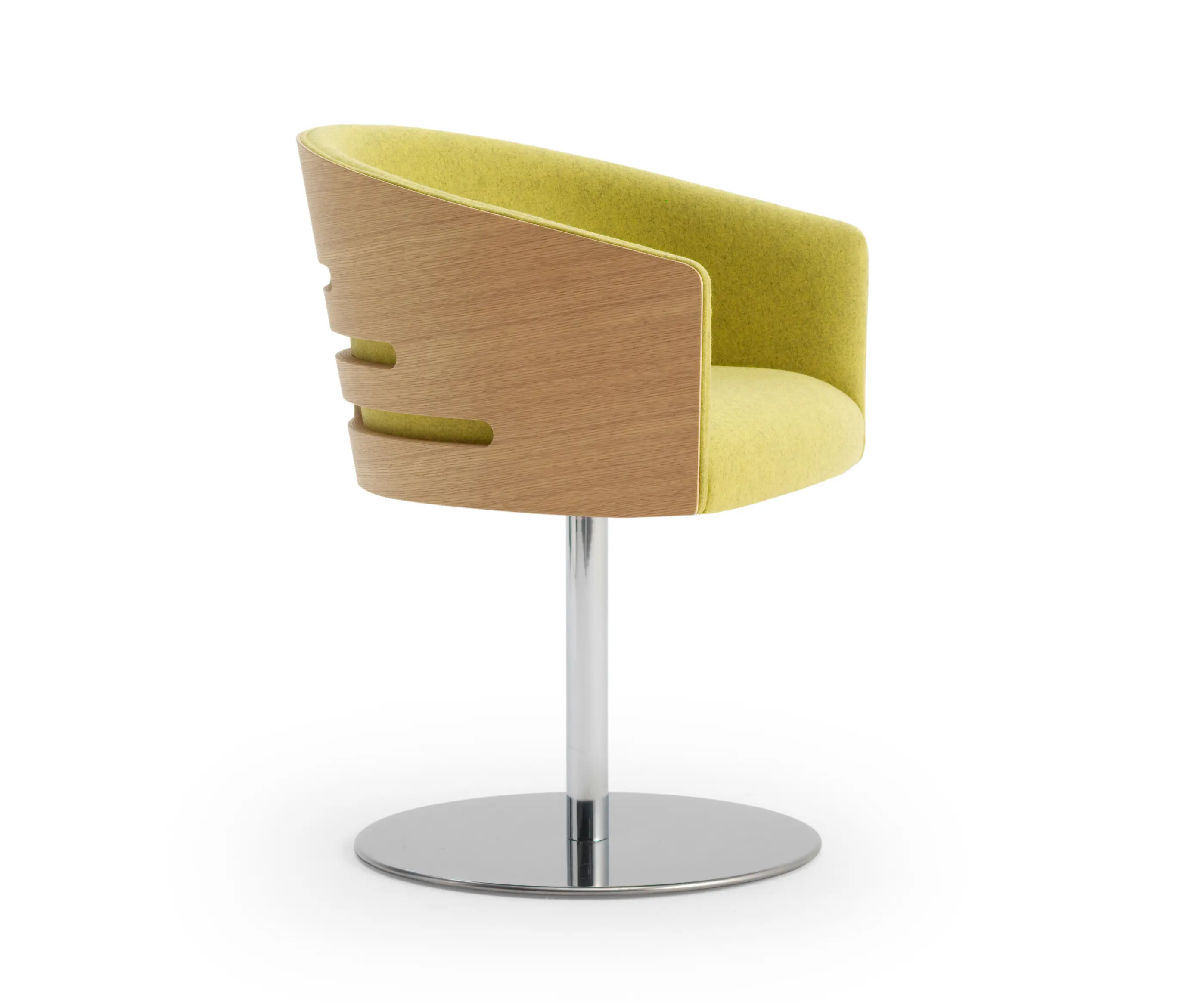 Accento - ALBERT TREE | SB1