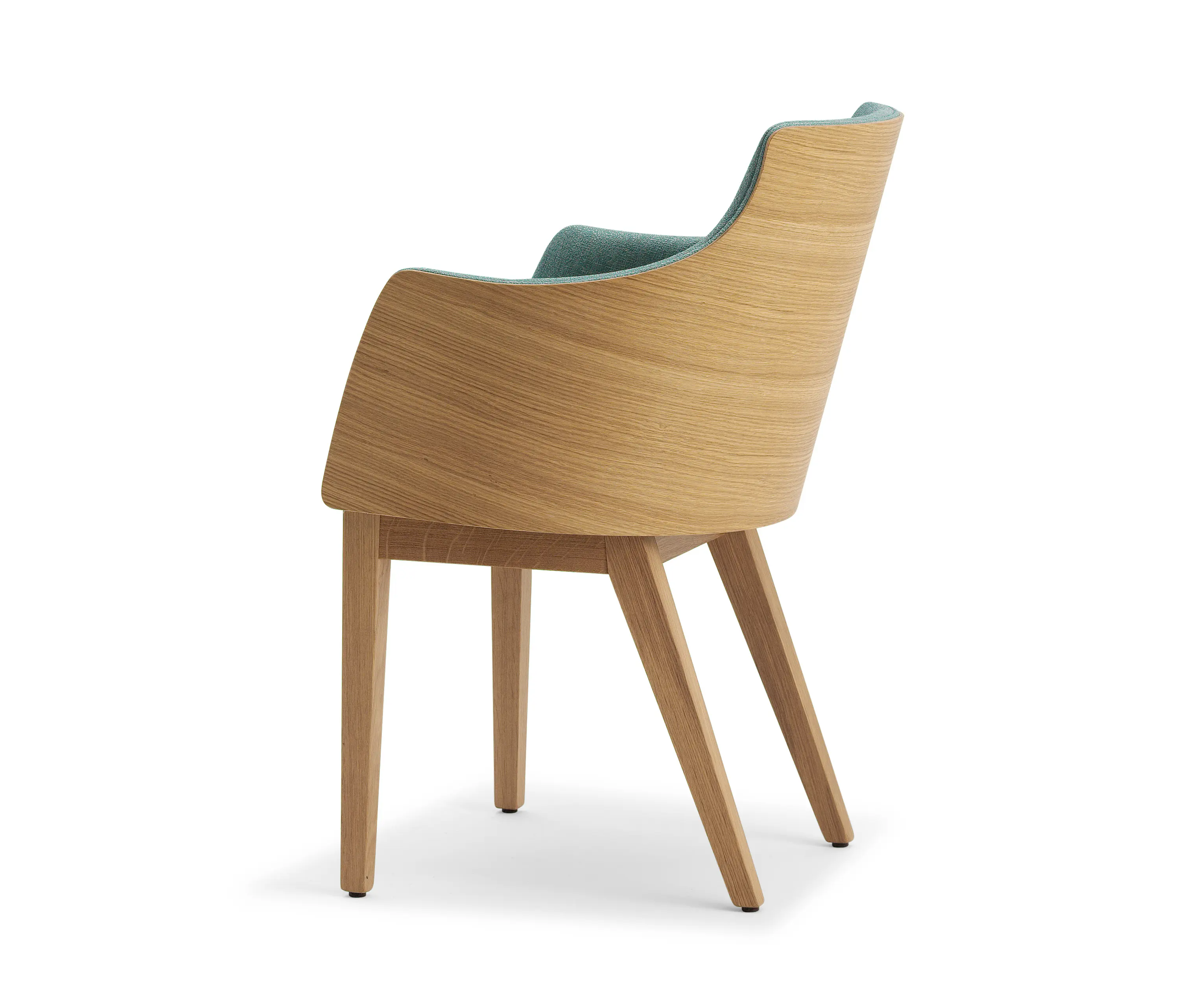 Accento - ALBERT ONE | SBL ARM
