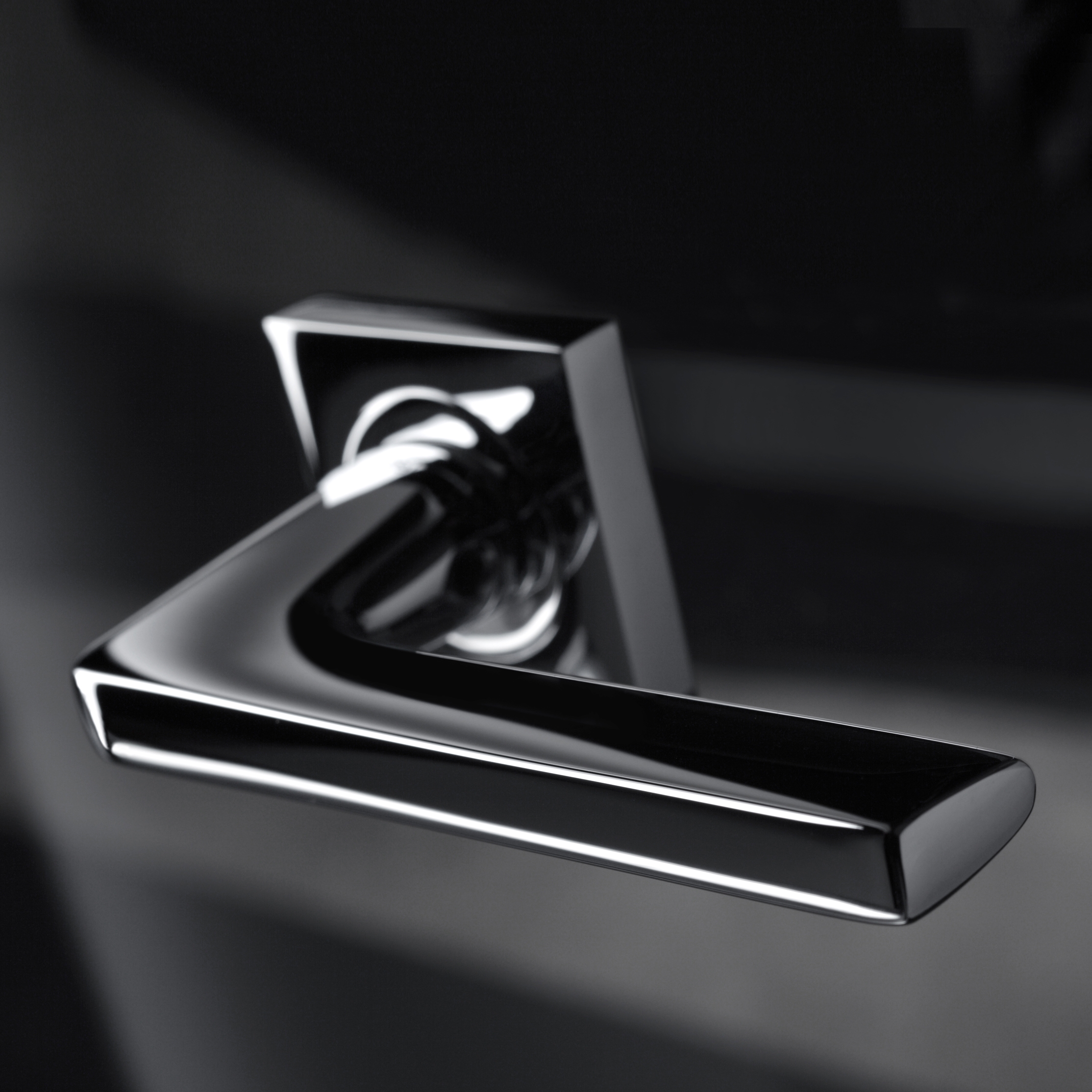 DOOR HANDLE