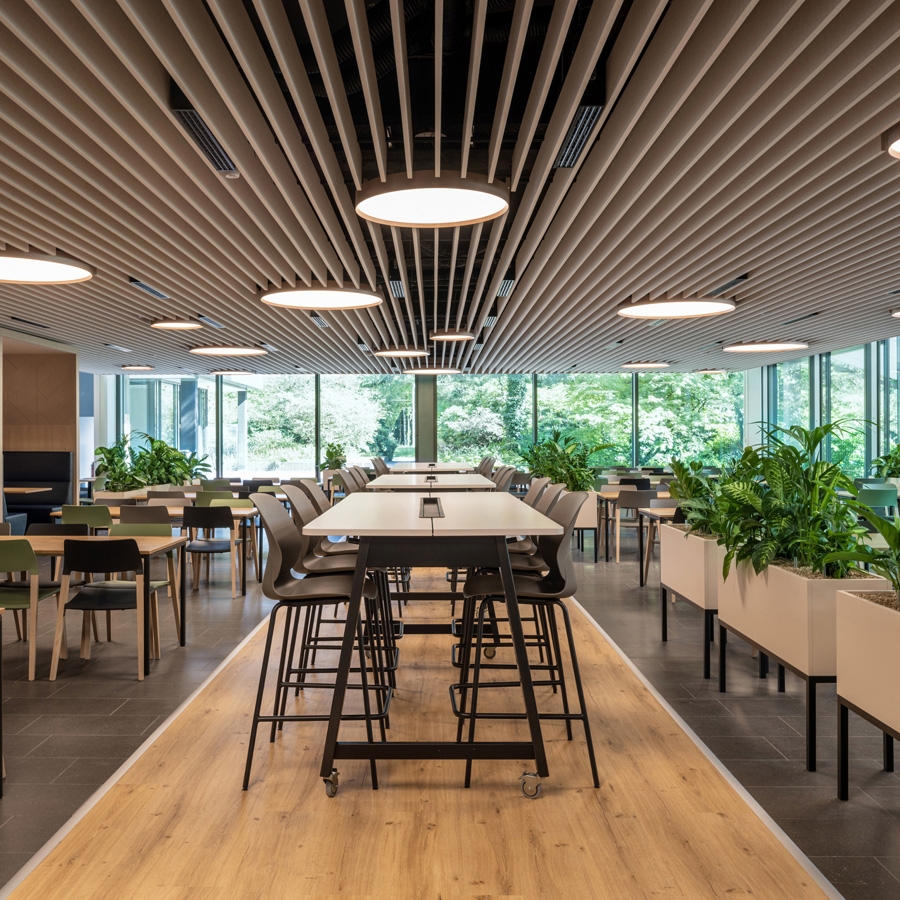 SURFACE-MOUNTED LUMINAIRES