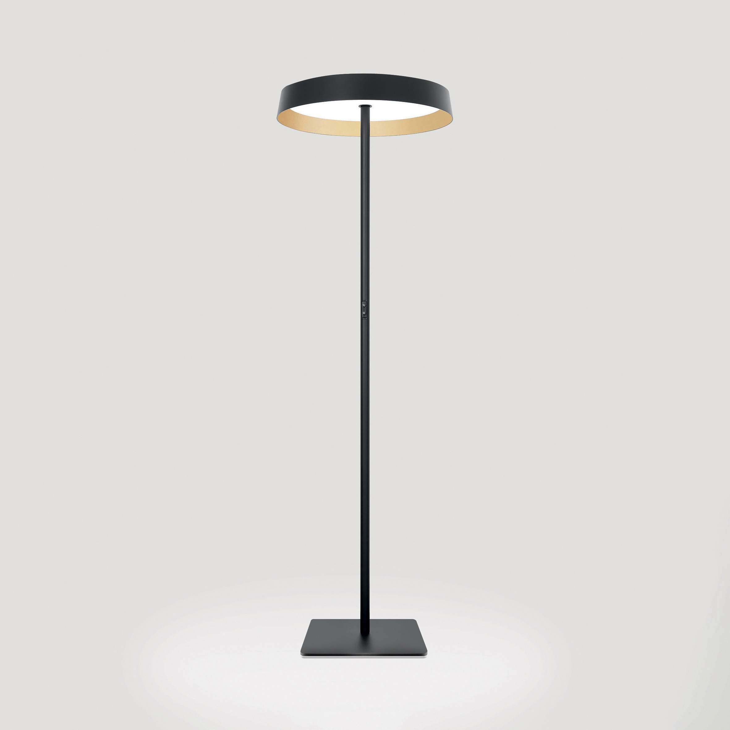 Afficher le produit Beam Me Up S4 | Floor du fabricant Lightnet