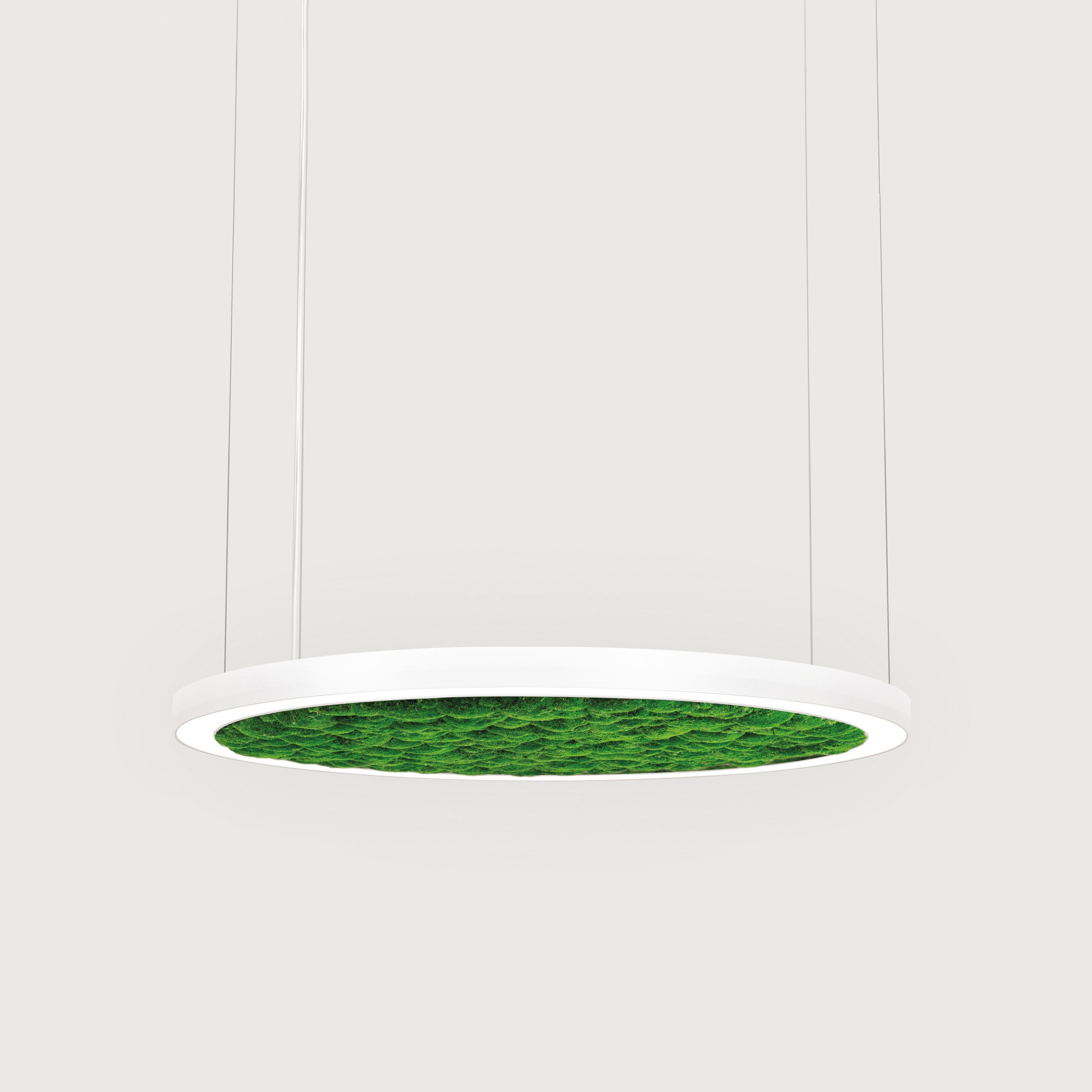 Display product Ringo Star 60 Acoustic G4/P4 | Suspended from manufacturer Lightnet
