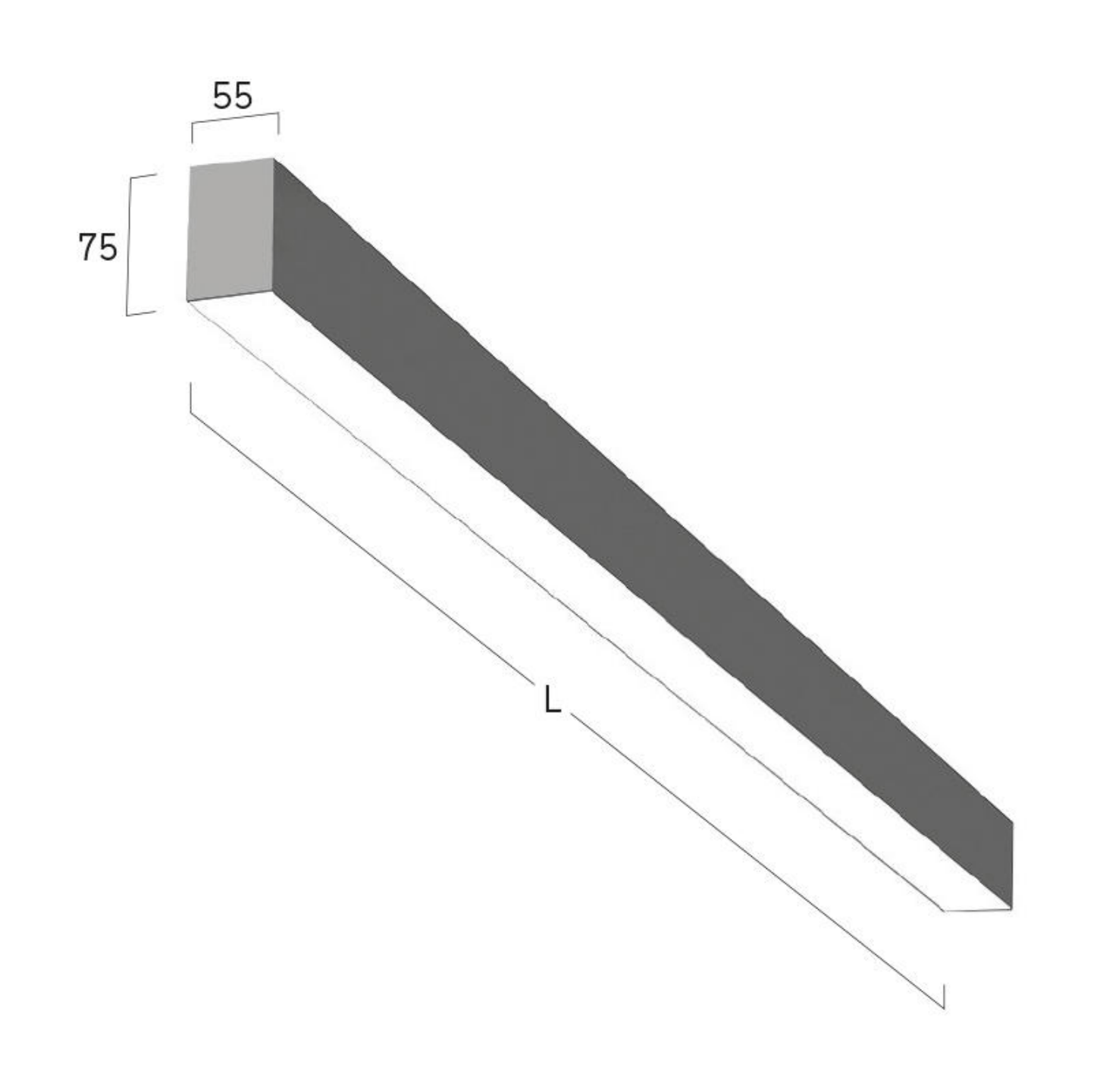 Thumbnail for image 6