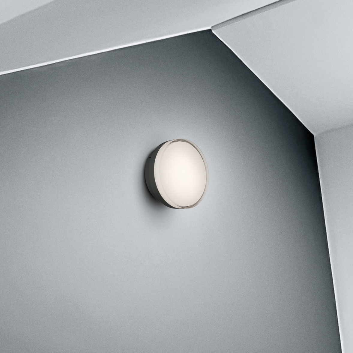 INDOOR | WALL LAMPS