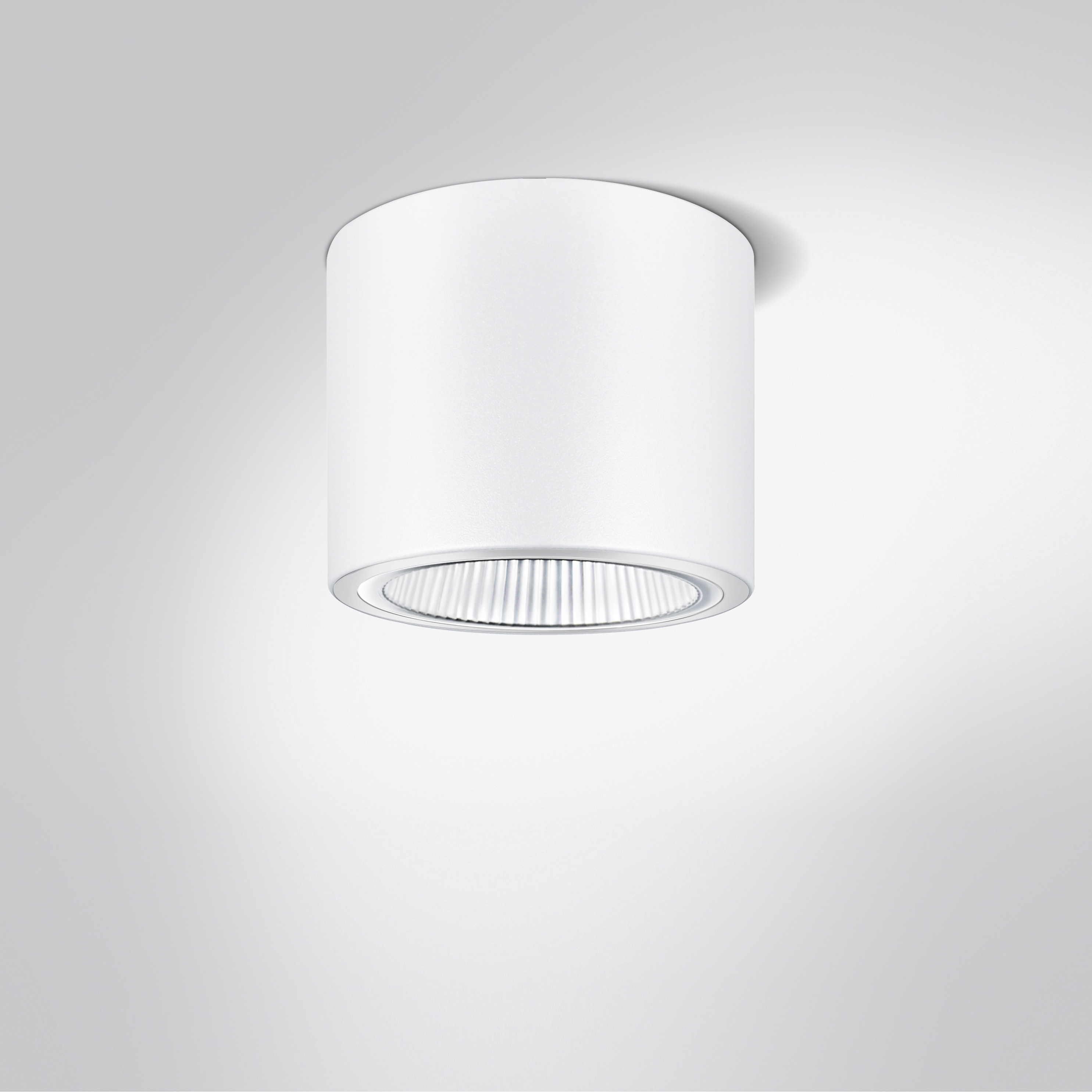 Demo 230 professional | white