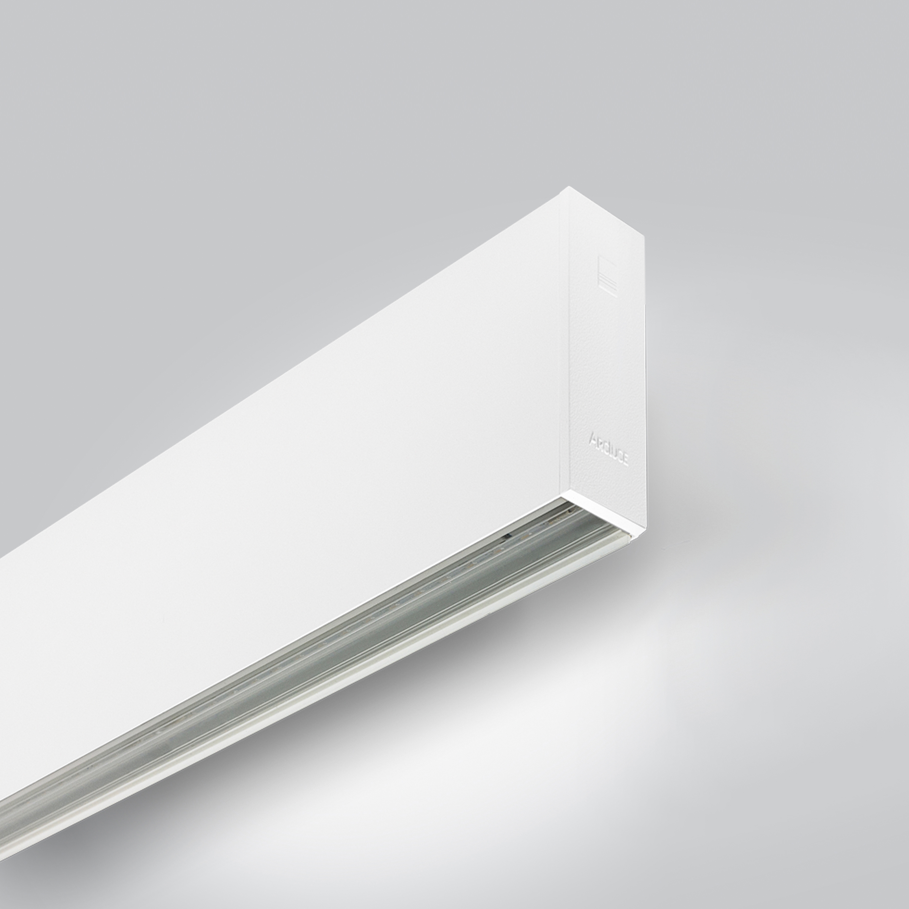 Mostra il prodotto Rigo 30 | wall wallwasher del produttore Arcluce
