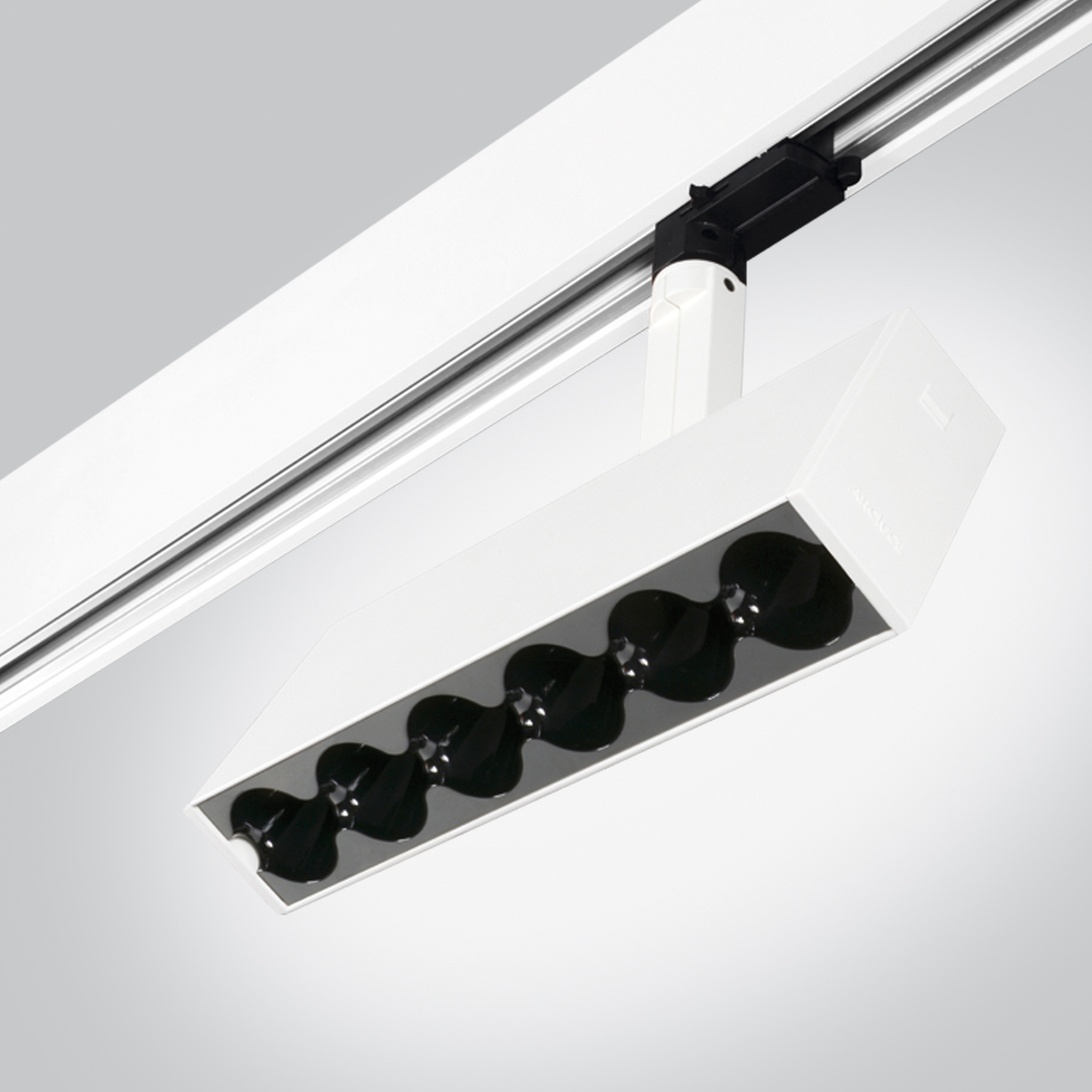 Rigo 50 | GCO spot black