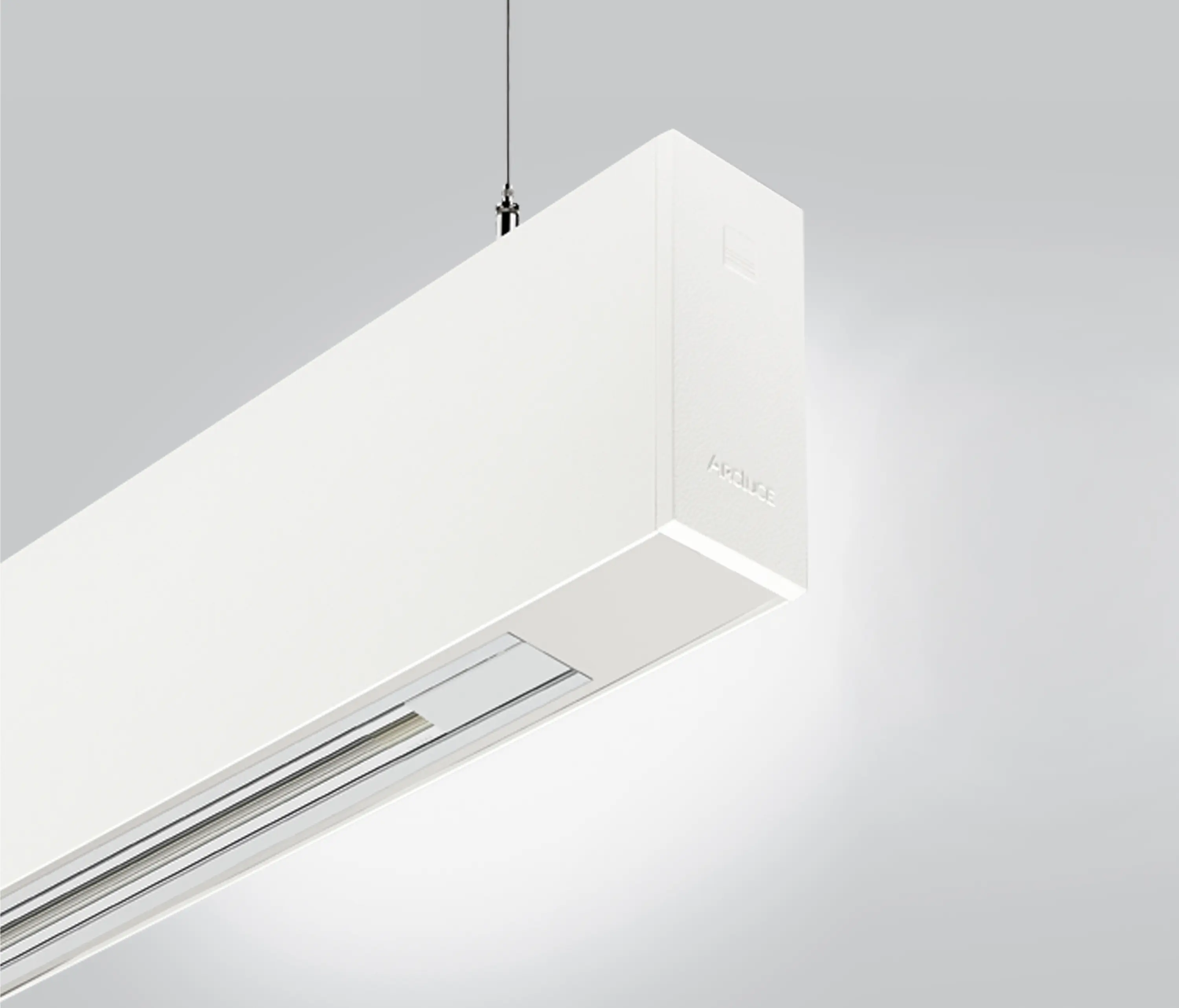 Arcluce - Rigo 50 | suspended electrified