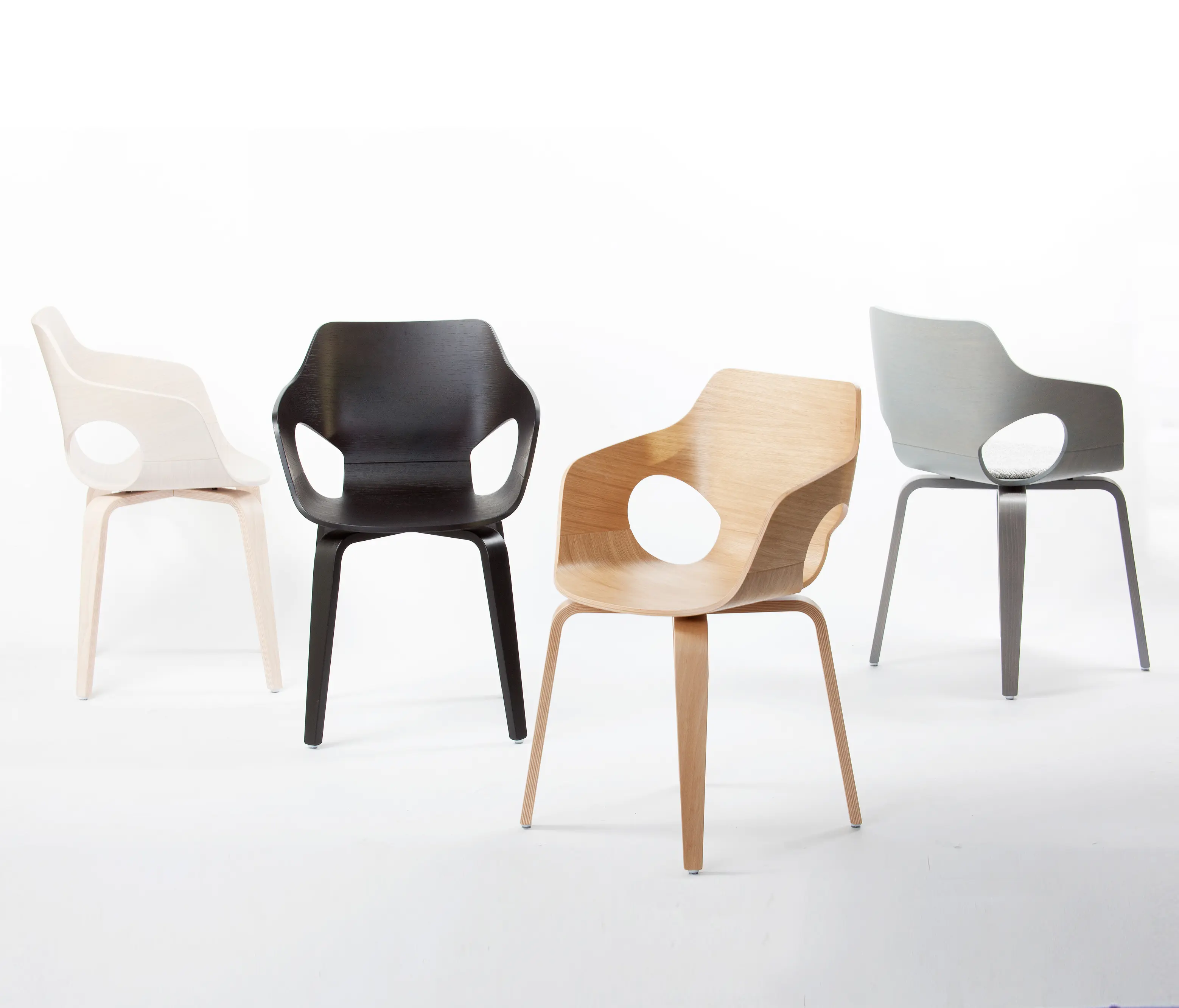 dutchglobe - Curved Oak Chair