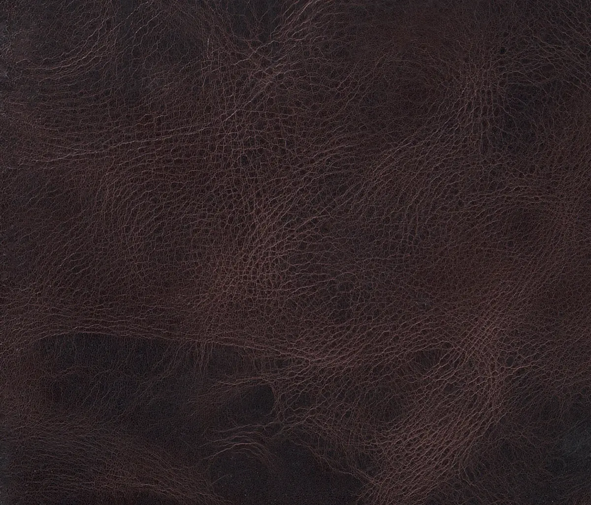 Alphenberg Leather - Pampas Moro