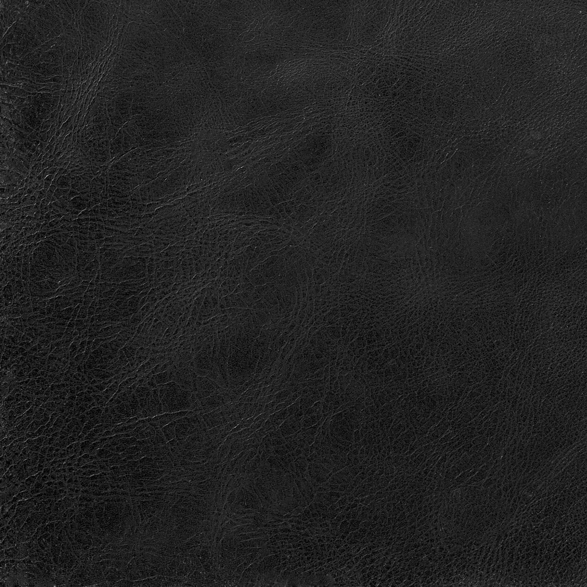 Pampas Pitch Black