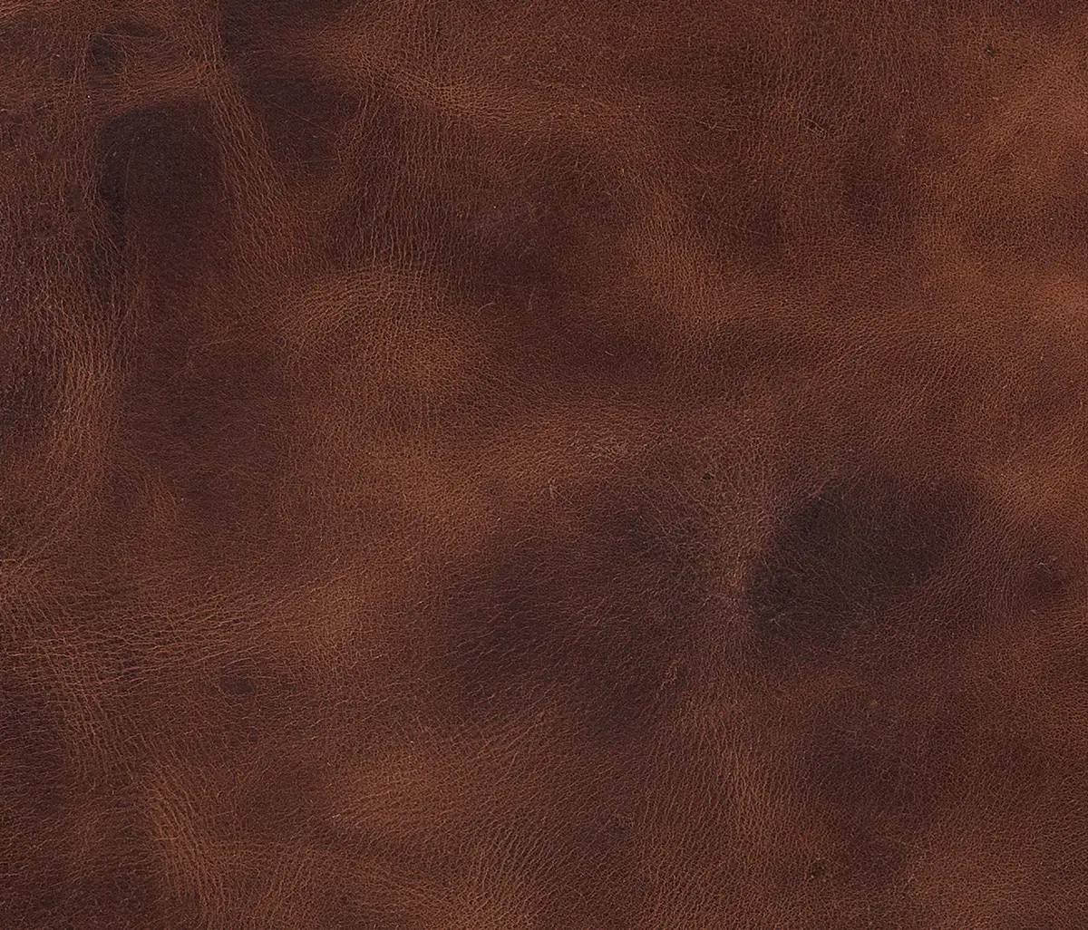 Alphenberg Leather - Pampas Tan