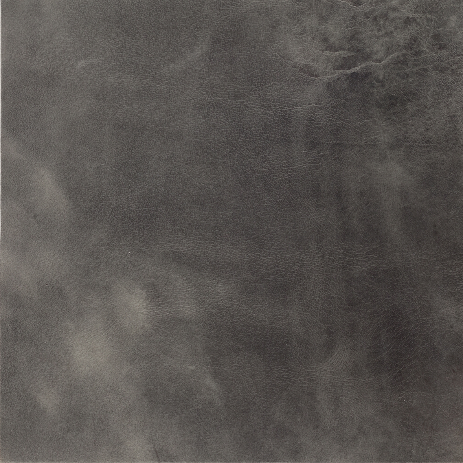 Tundra Grey