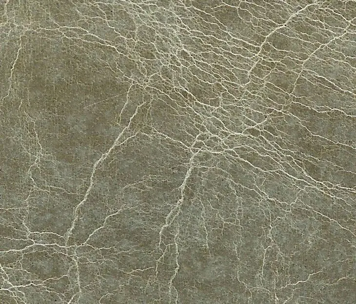 Alphenberg Leather - Pampas Dolphin
