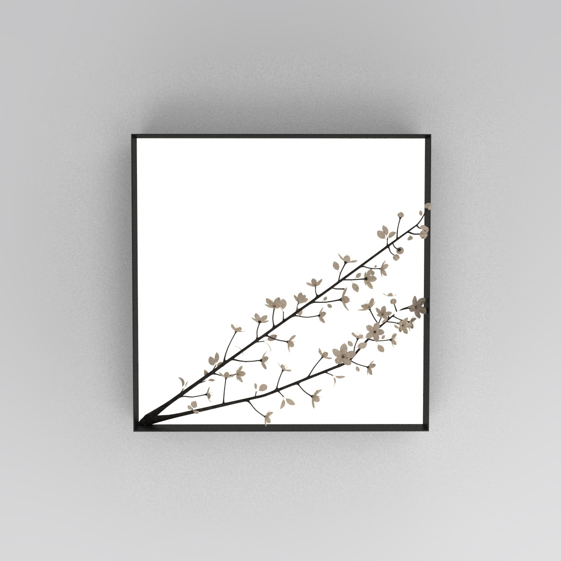 Mostrar el producto Frame 375OL-W01 del fabricante Atelier Areti