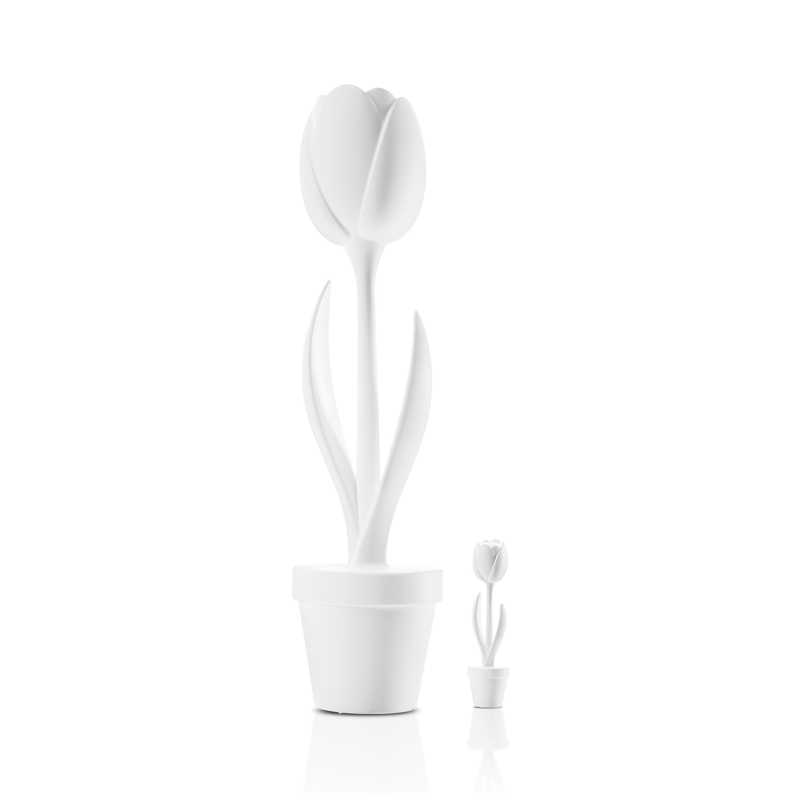 Mostrar el producto Tulip S-XL del fabricante MYYOUR