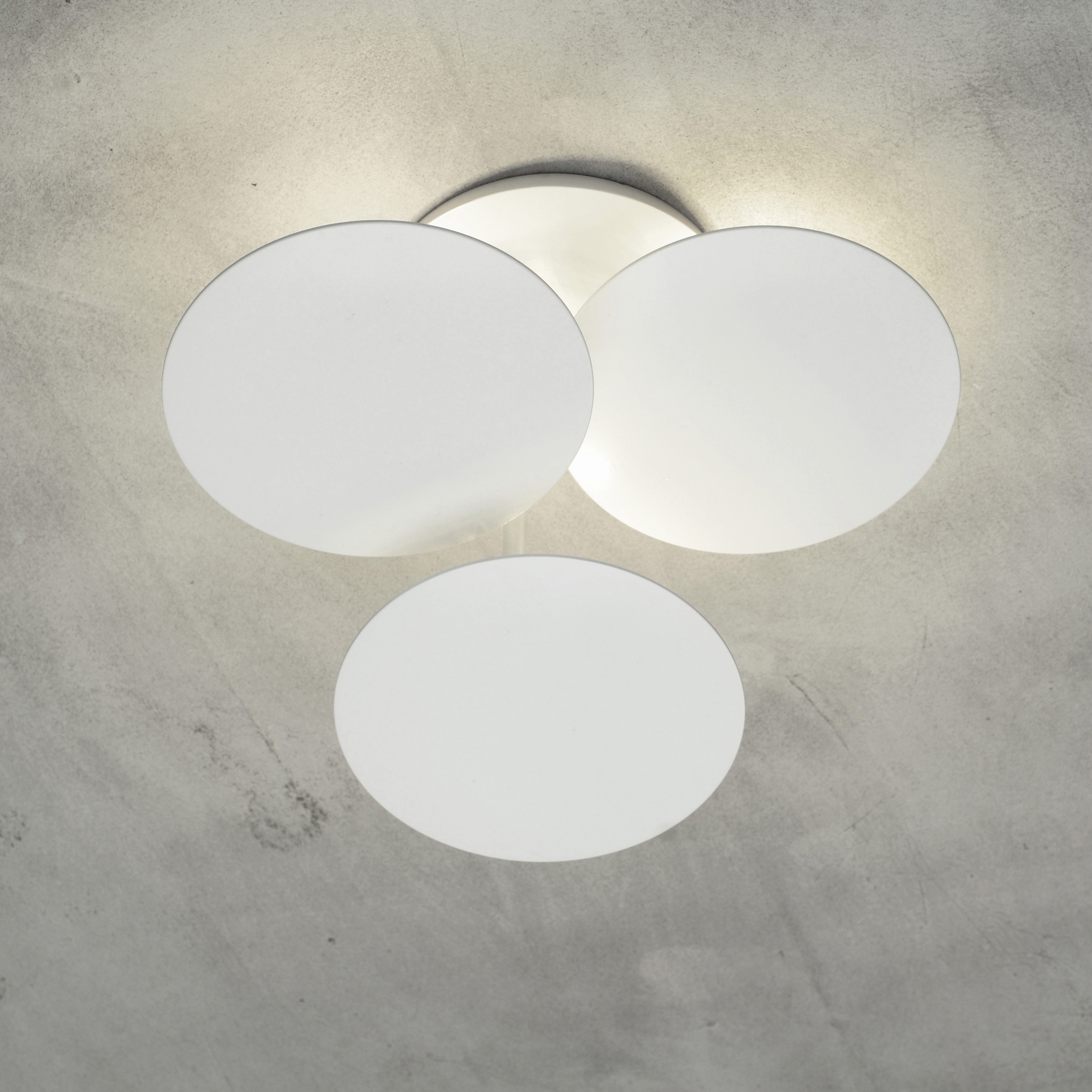 Mostrar el producto Millelumen Circles Ceiling del fabricante millelumen