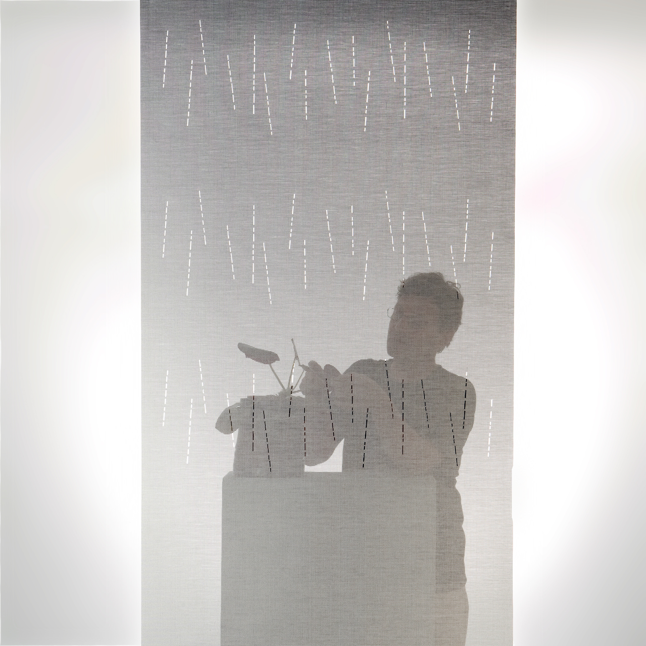 THE TRANSPARENTS
