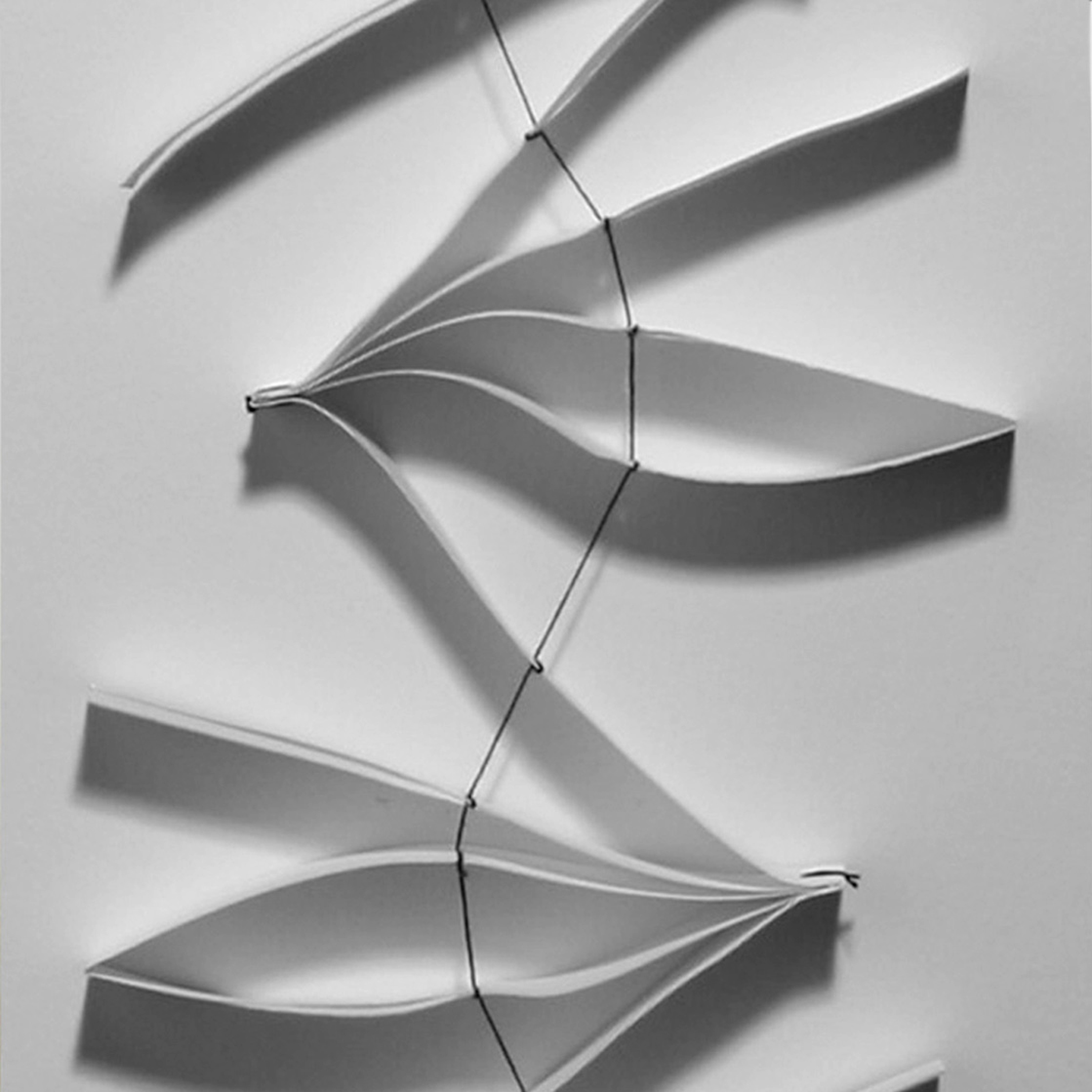 Display product Jasmin from manufacturer Lily Latifi