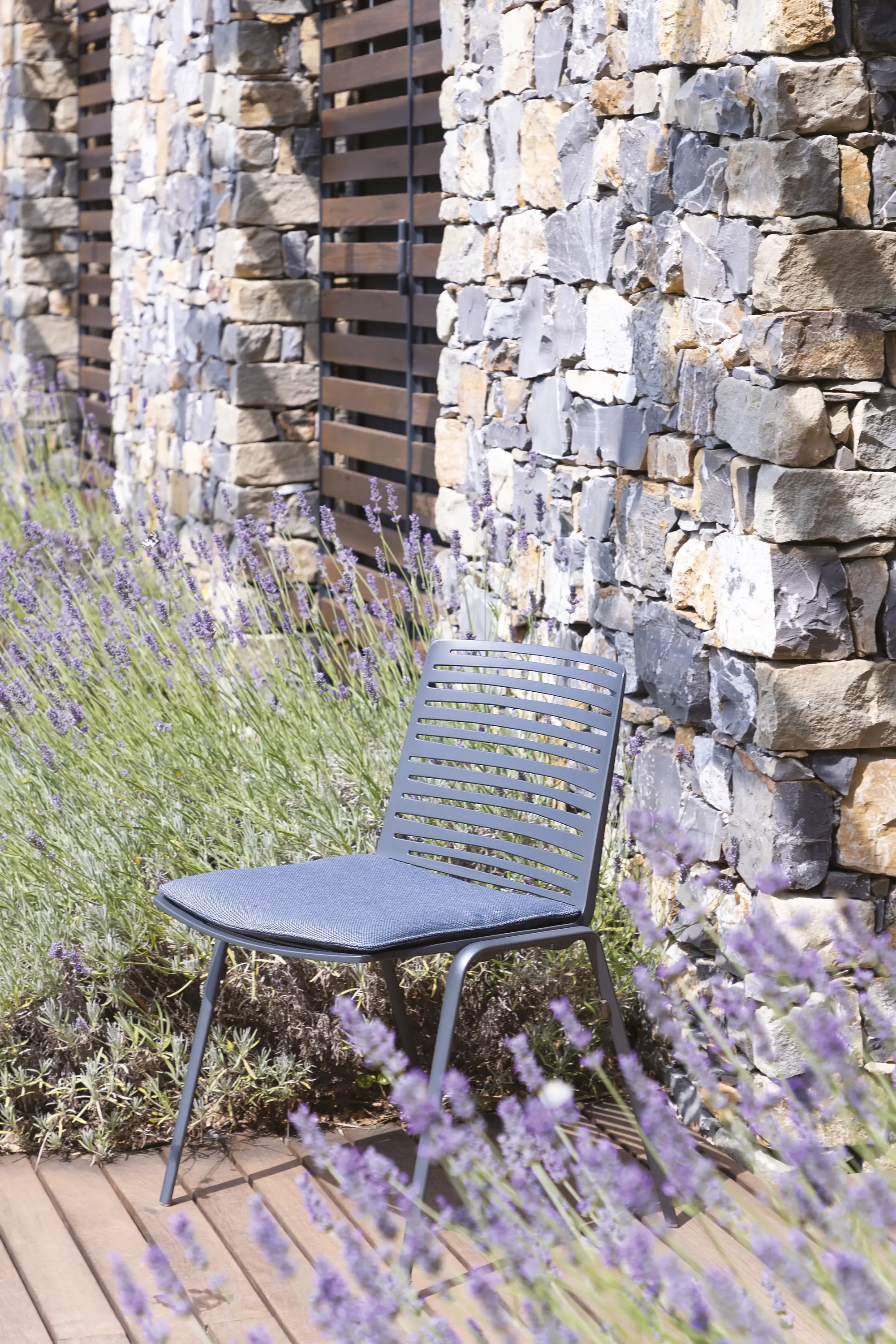 Fast - Zebra lounge armchair