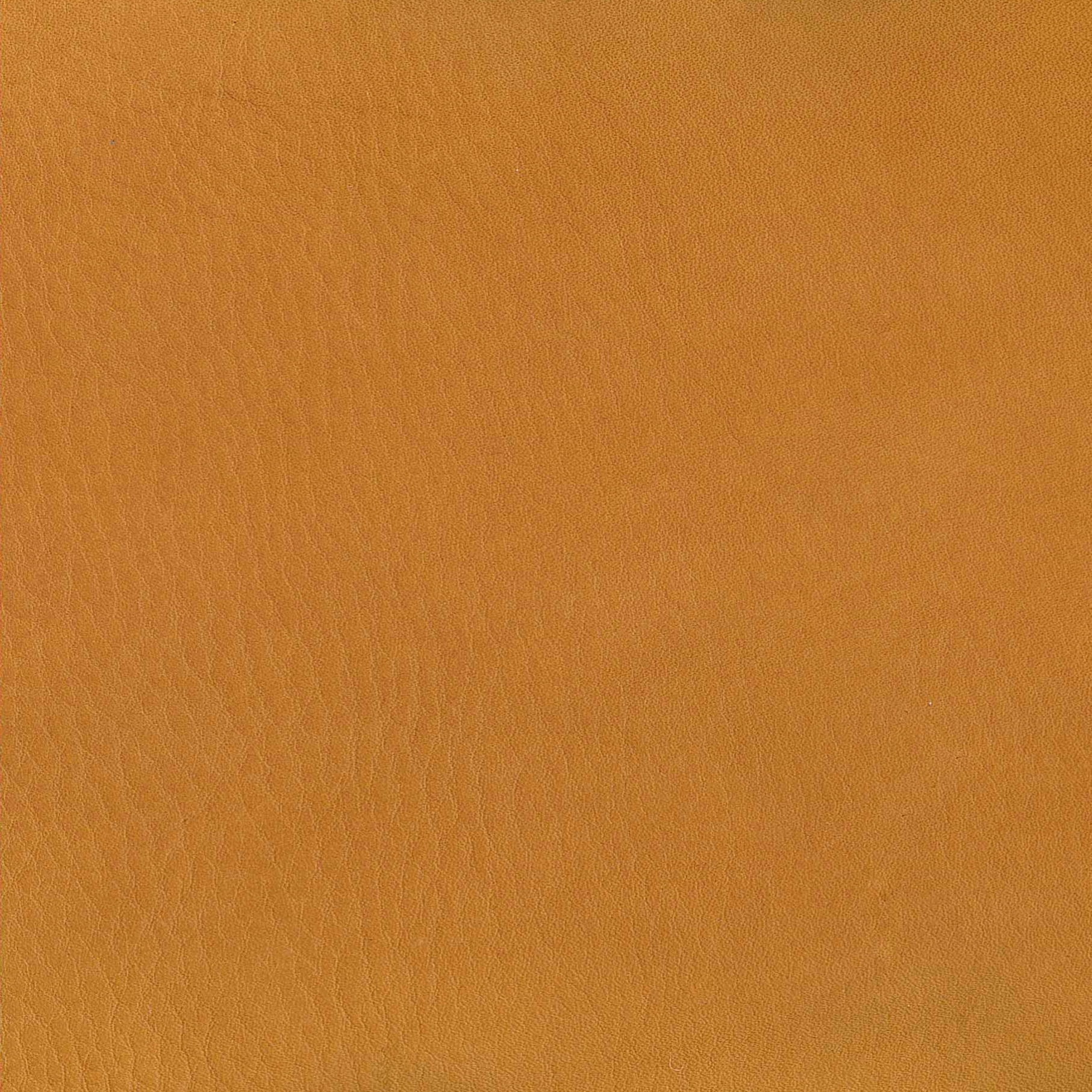 Natural Lorea Bravo 050