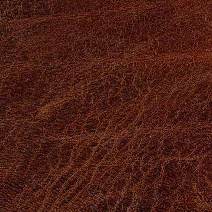 Natural Lorea Ecus europa