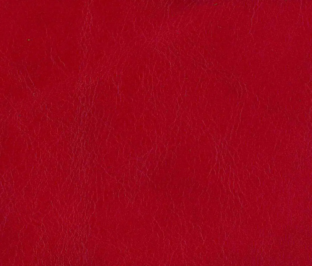Alonso Mercader - Natural Lorea Retan cranberry
