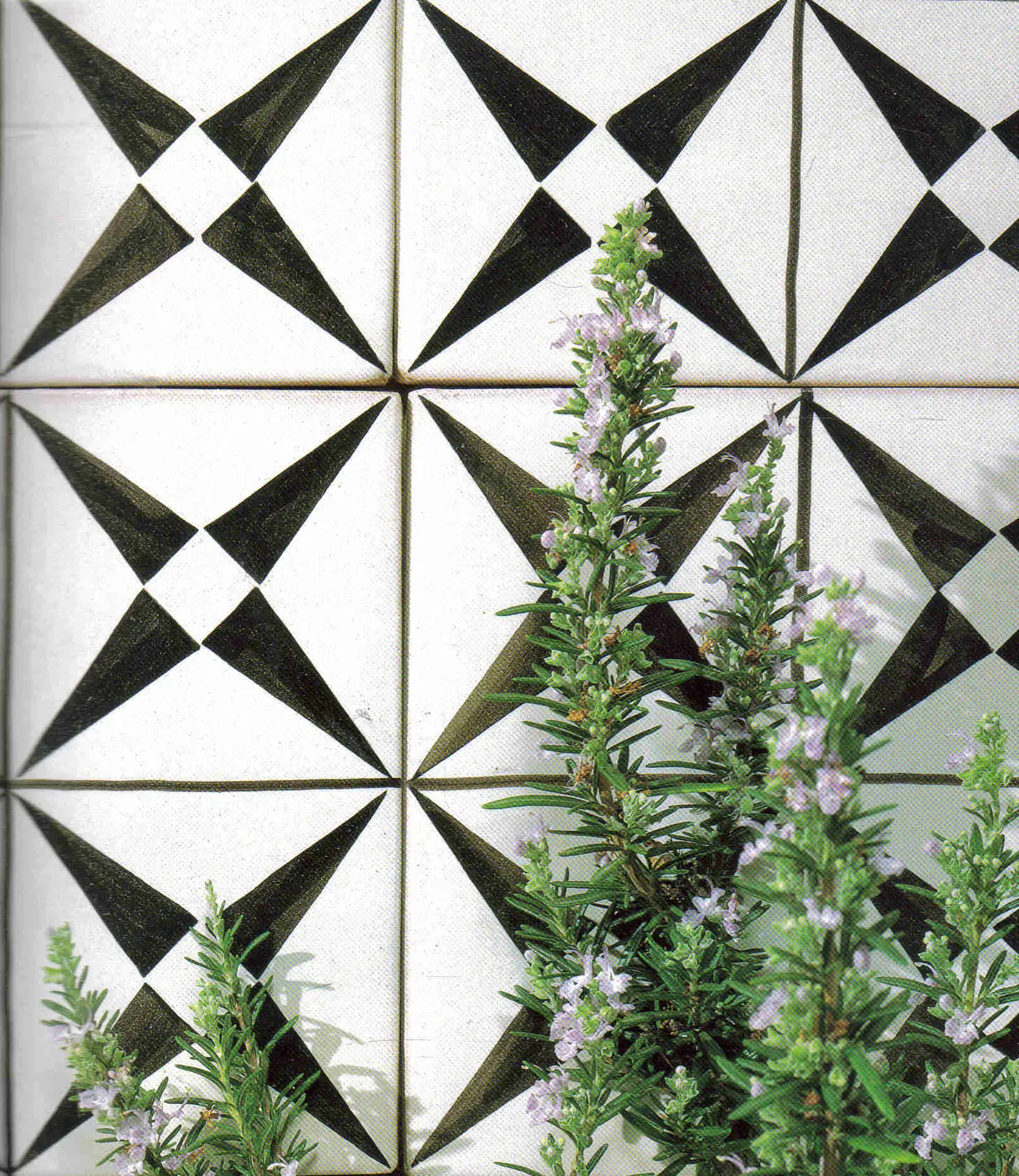 La Riggiola - LR POR 96