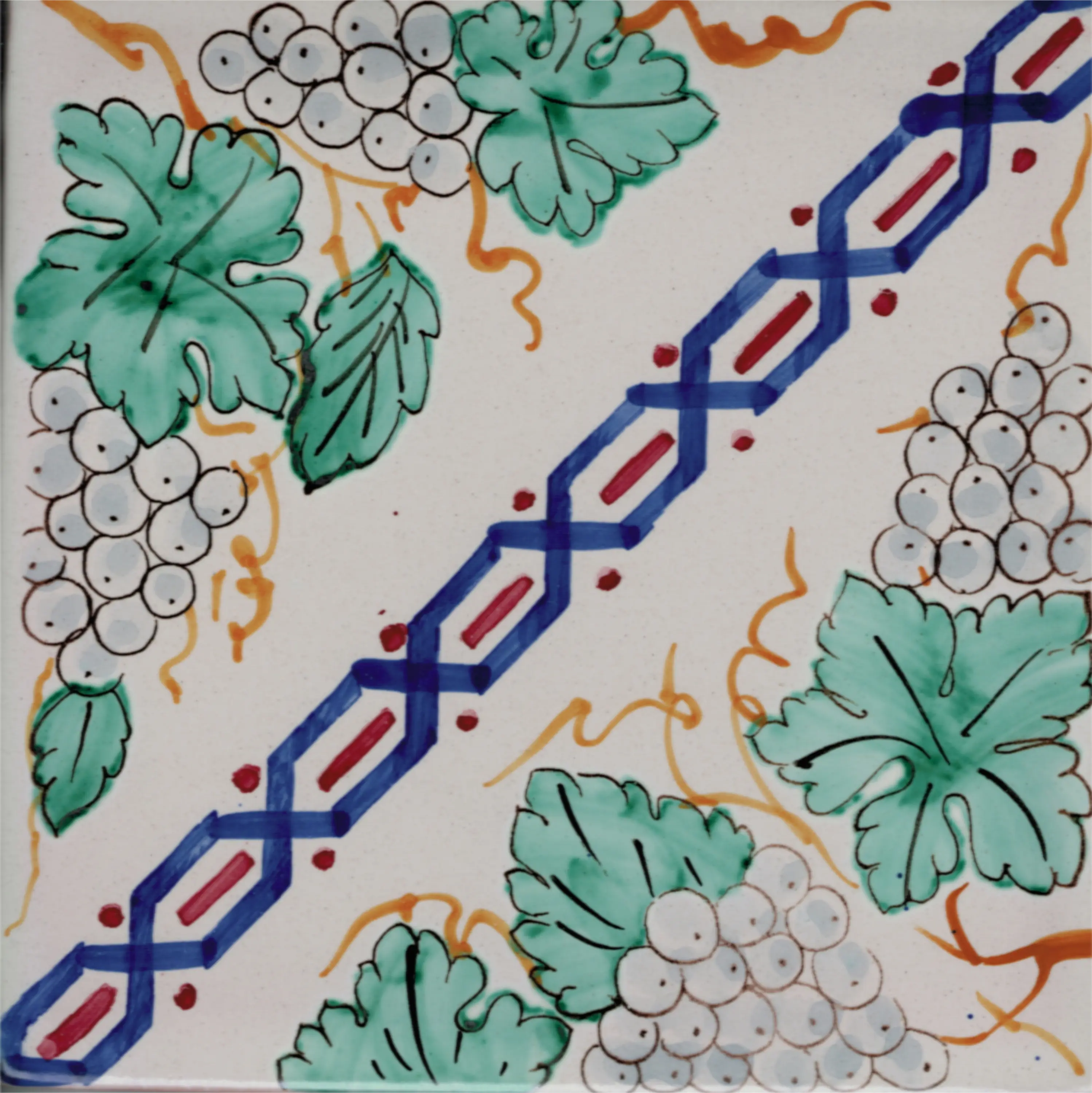 La Riggiola - LR SC Vite trasversale