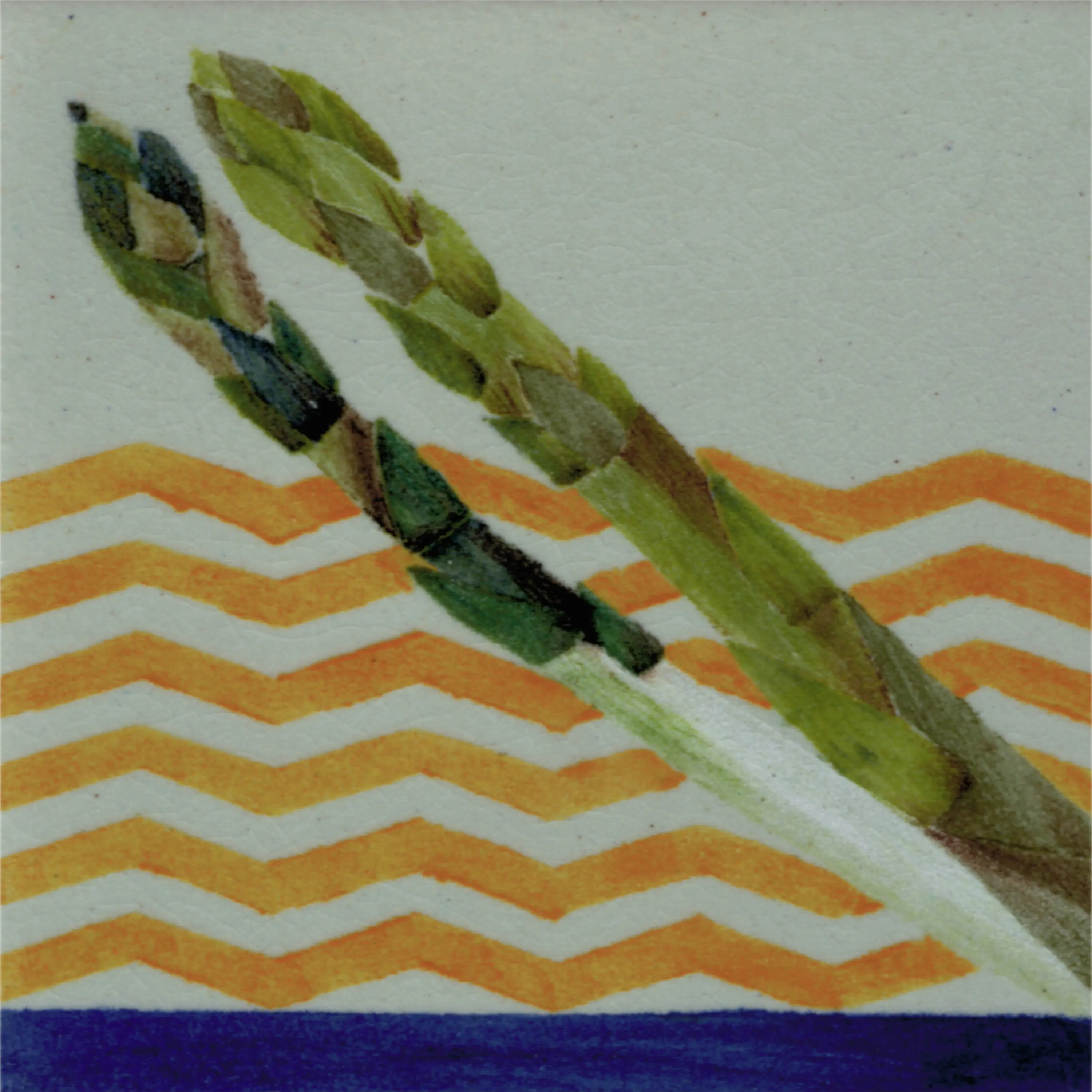 La Riggiola - Asparago