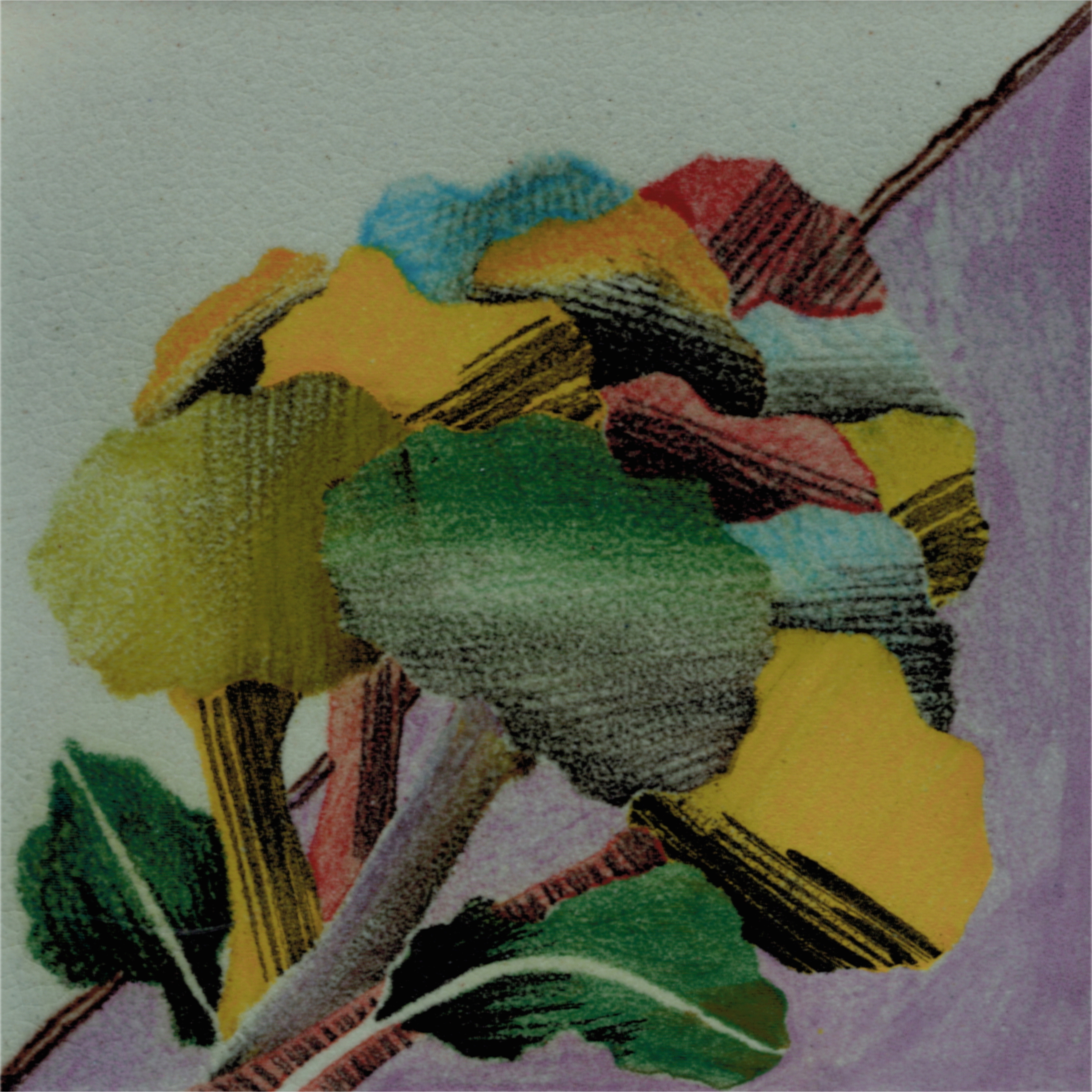 Display product Broccolo from manufacturer La Riggiola