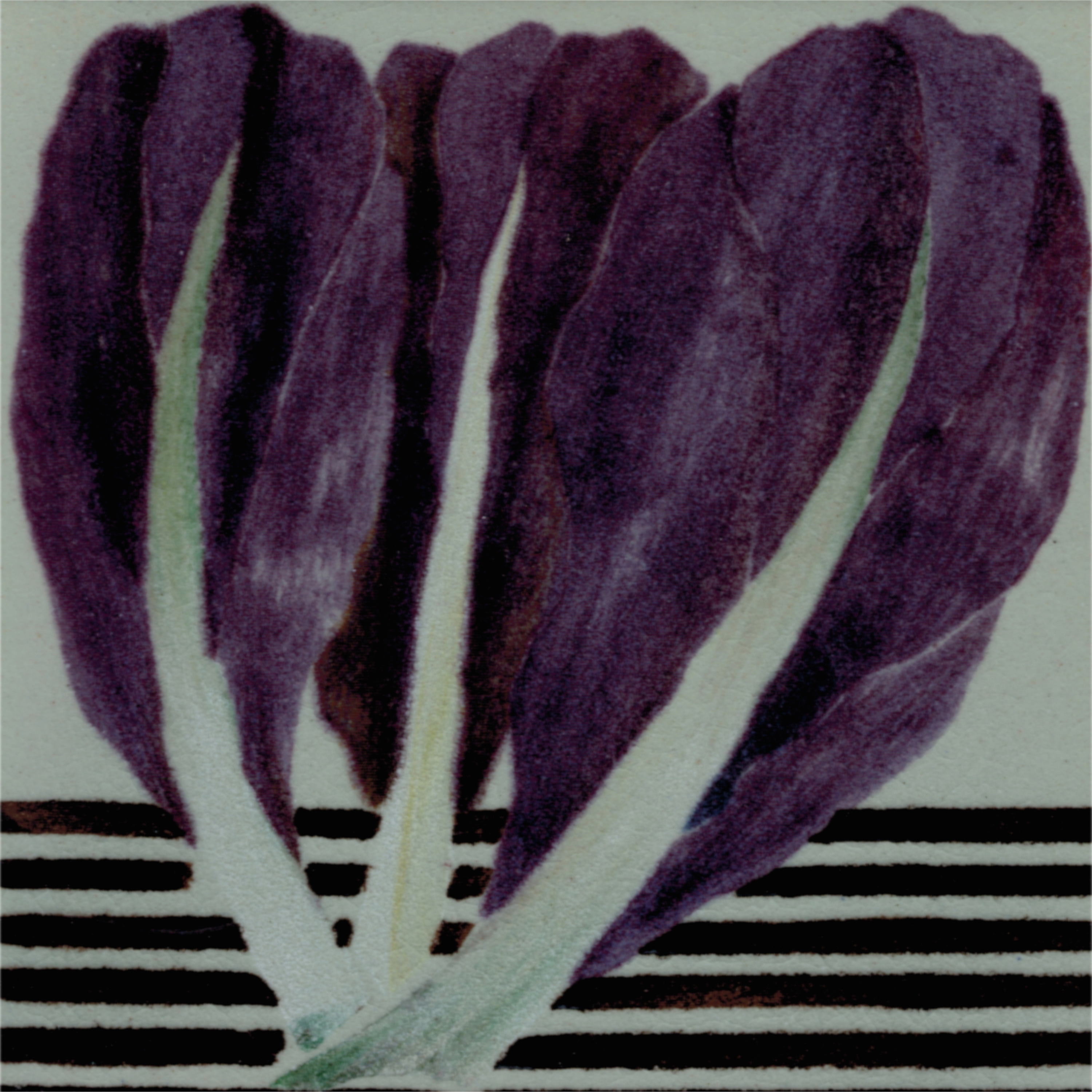 Produkt LR SC Radicchio des Herstellers La Riggiola anzeigen